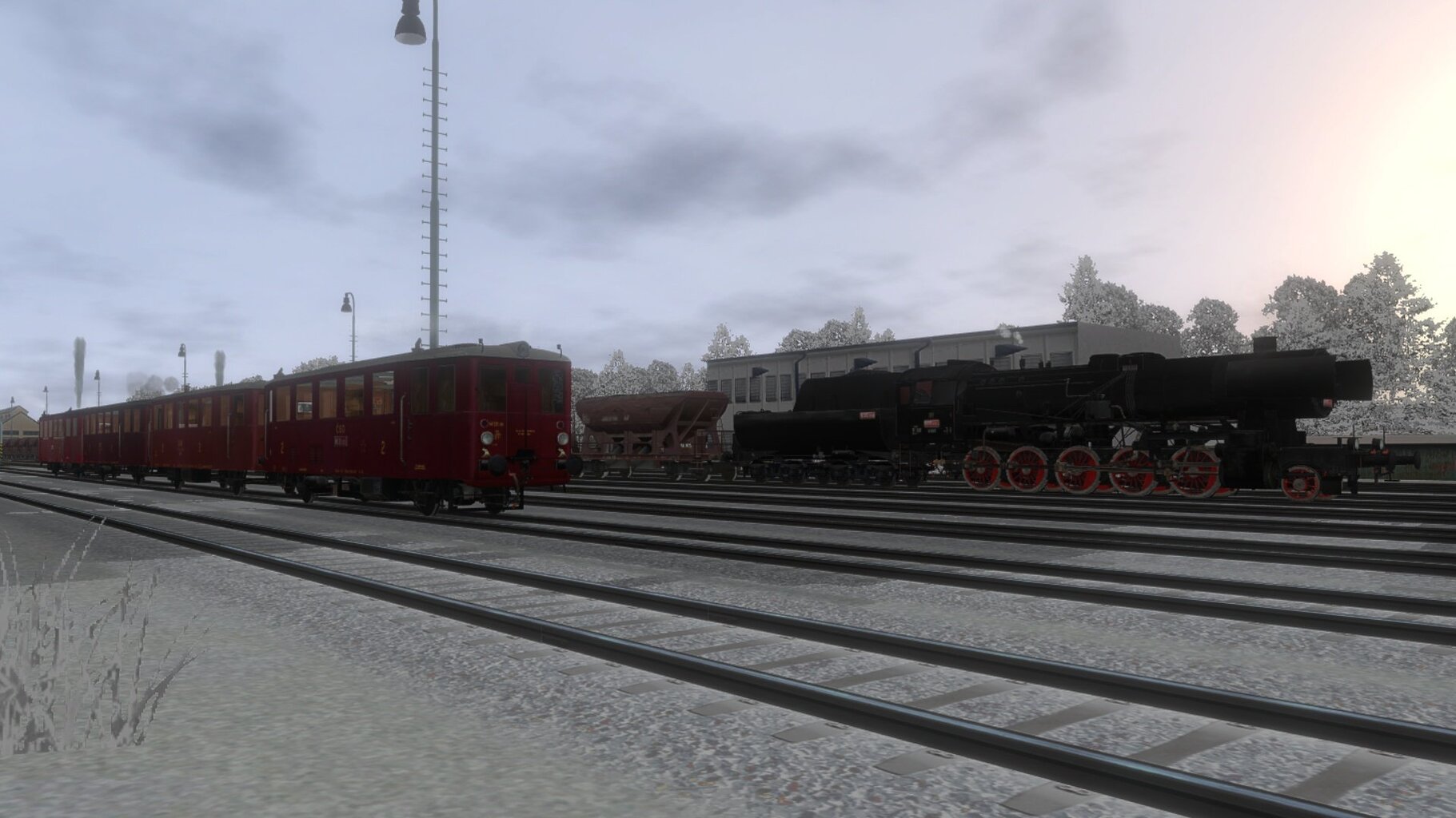 Pn_ded_014.jpg