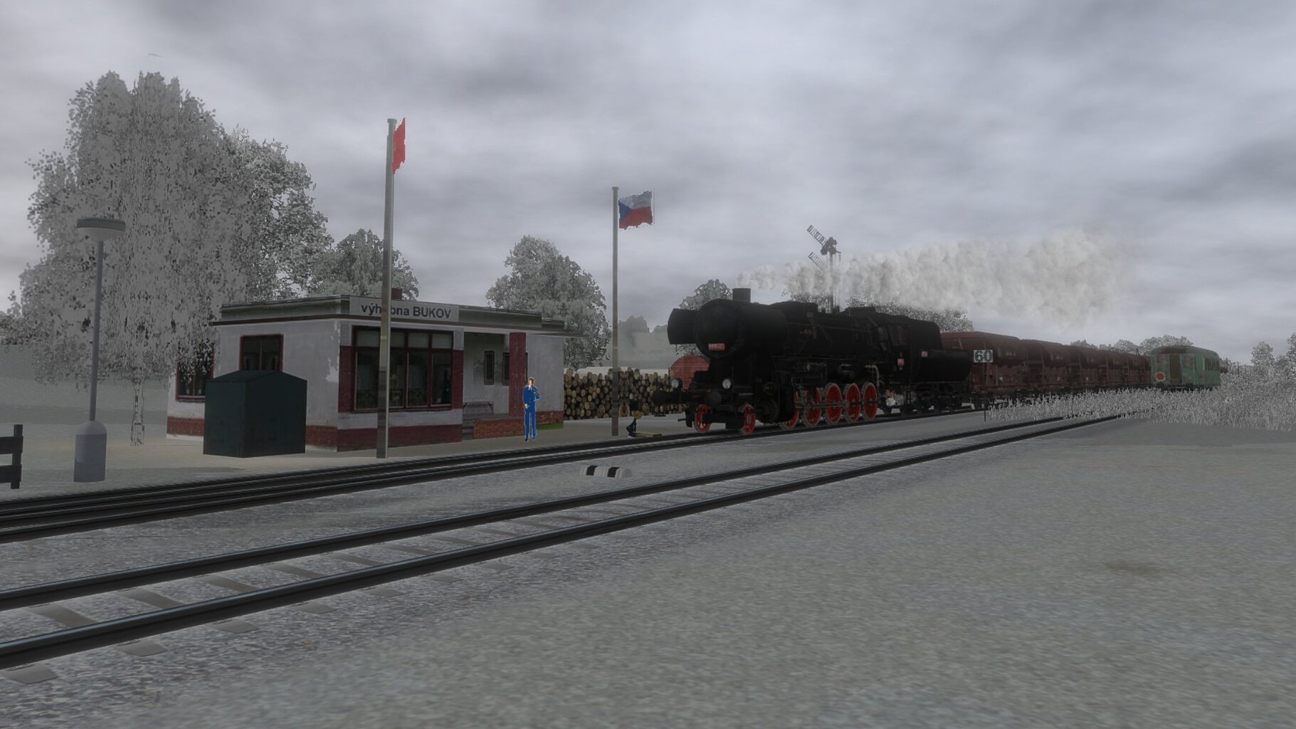 Pn_ded_016.jpg