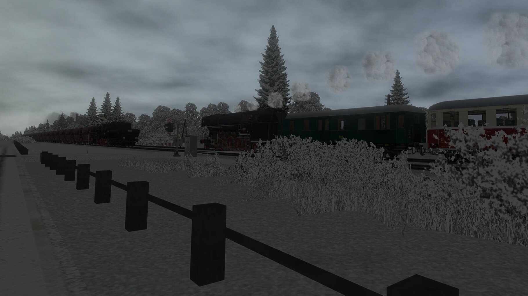 Pn_ded_024.jpg