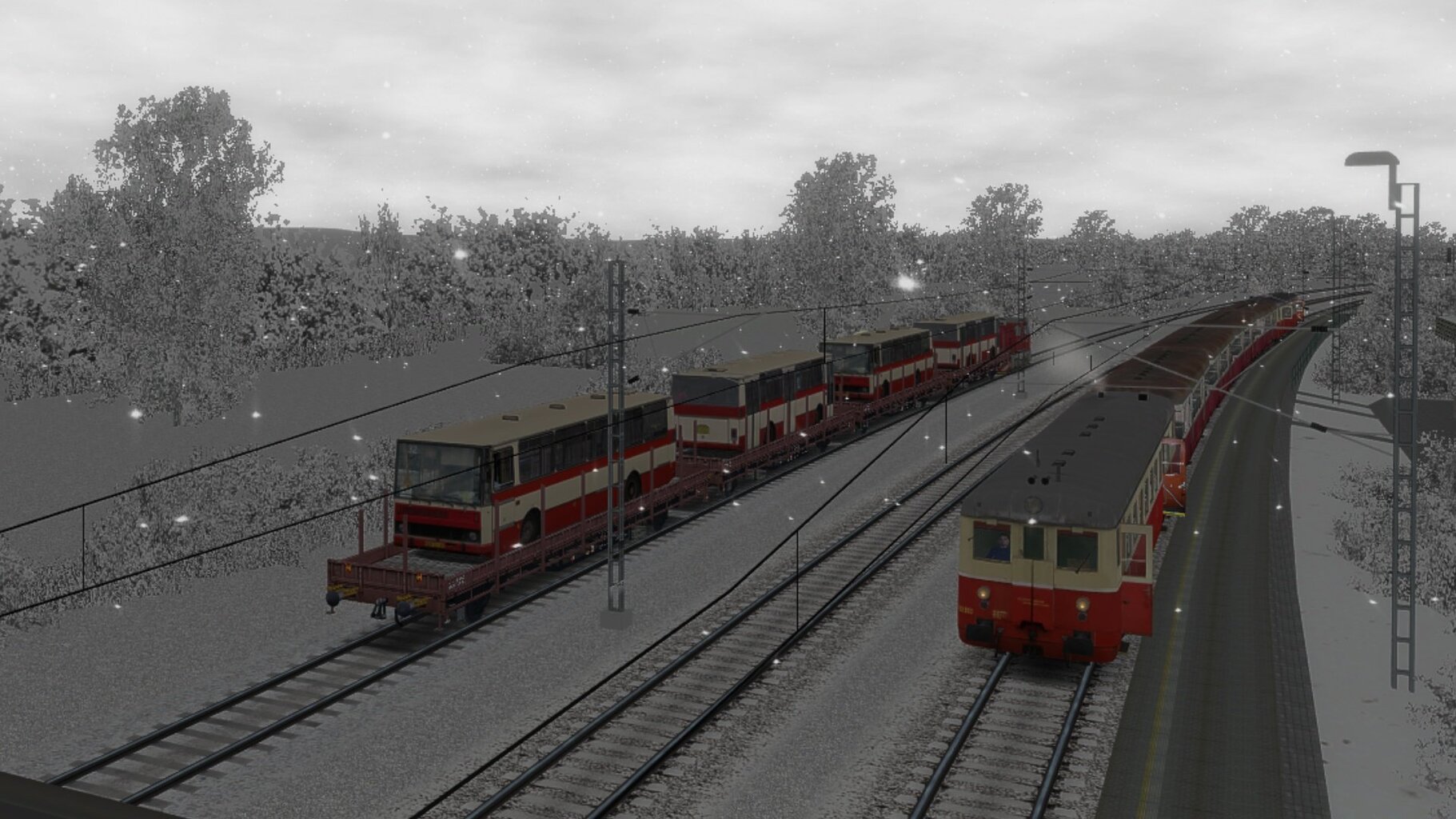 Os3408_029.jpg
