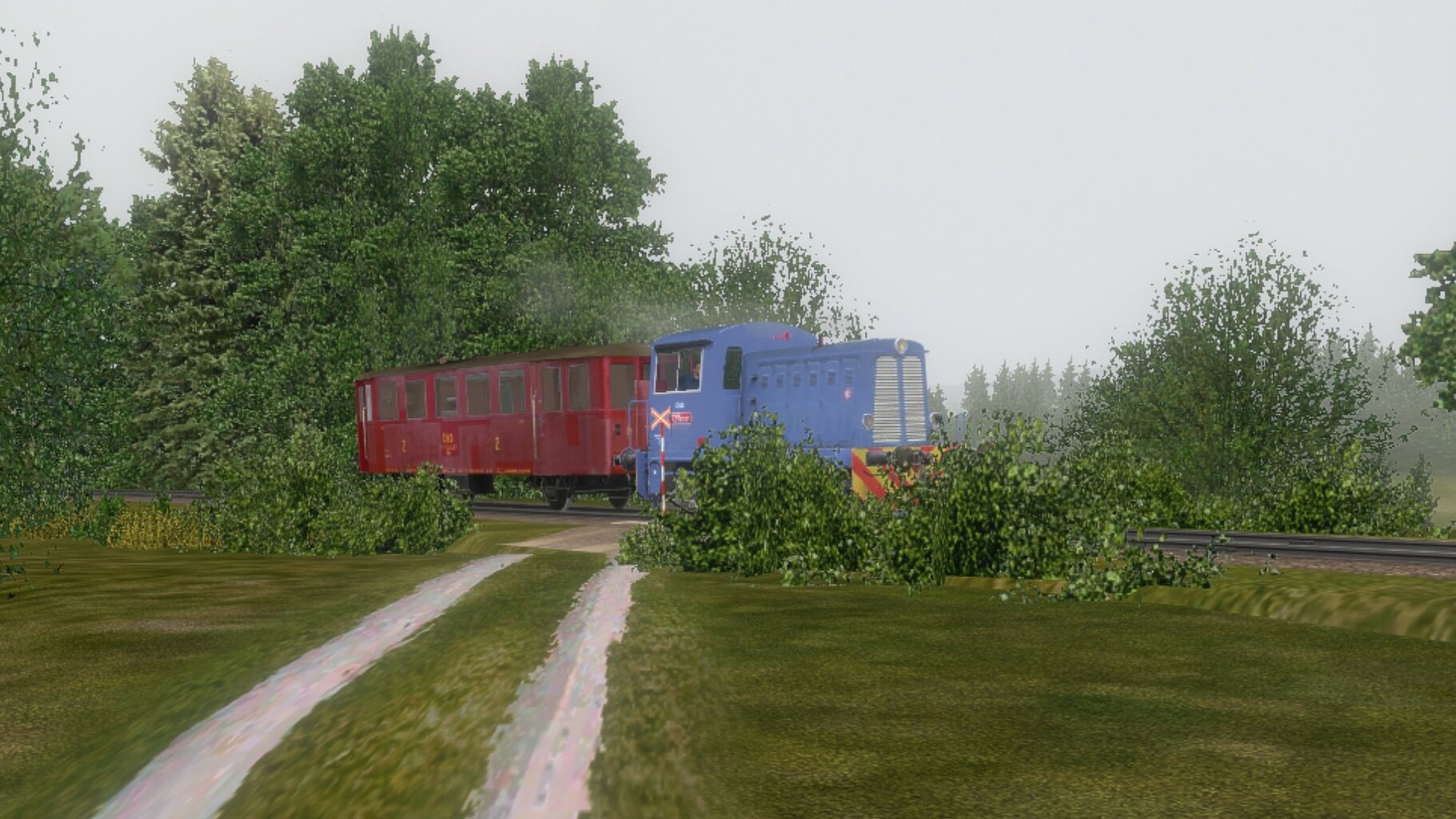 Os15450_007.jpg