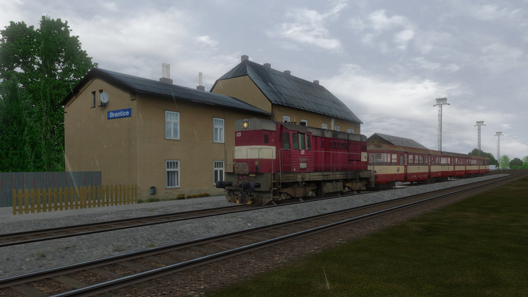 010.jpg