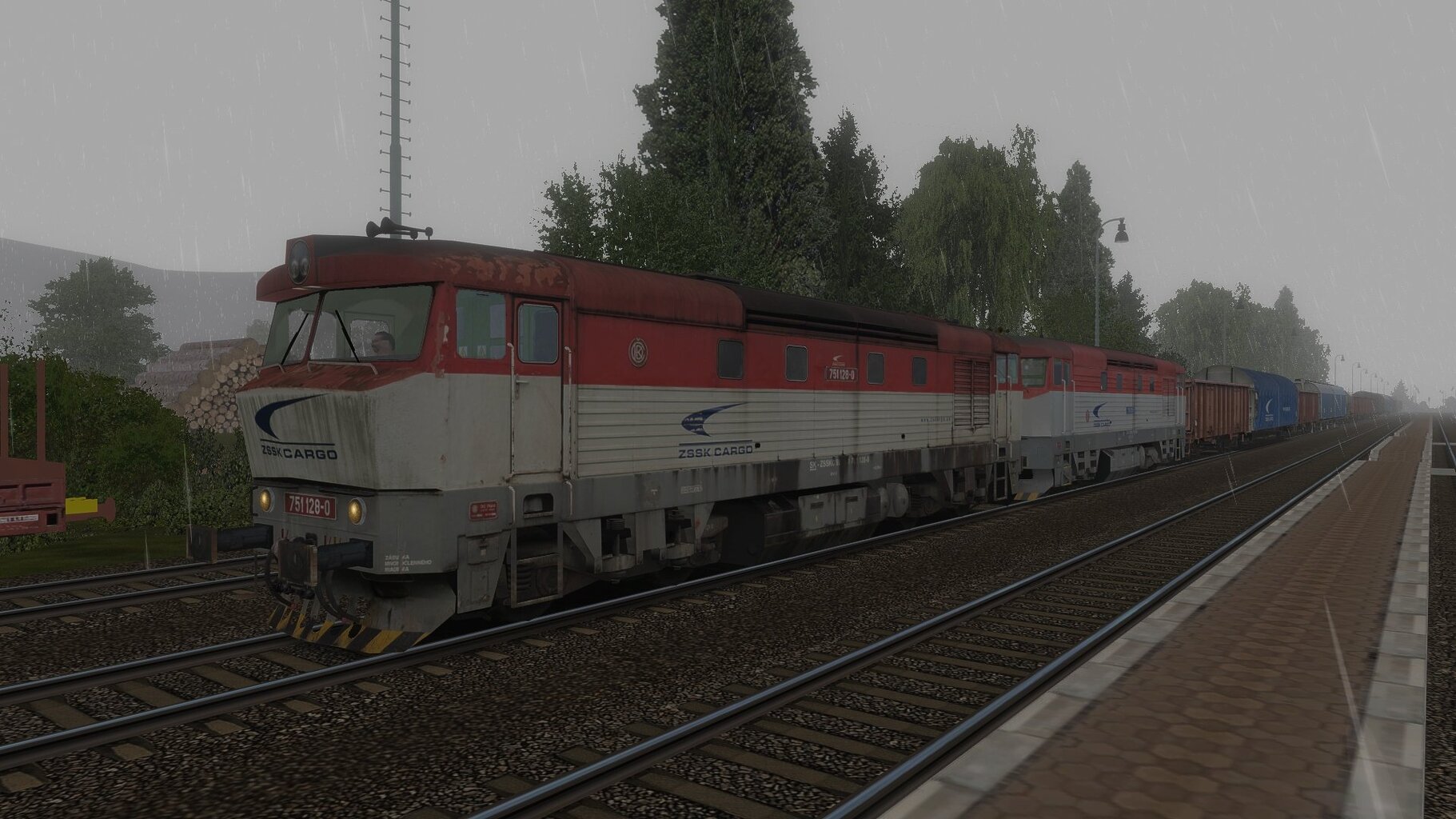 zsskc751-128_1.jpg