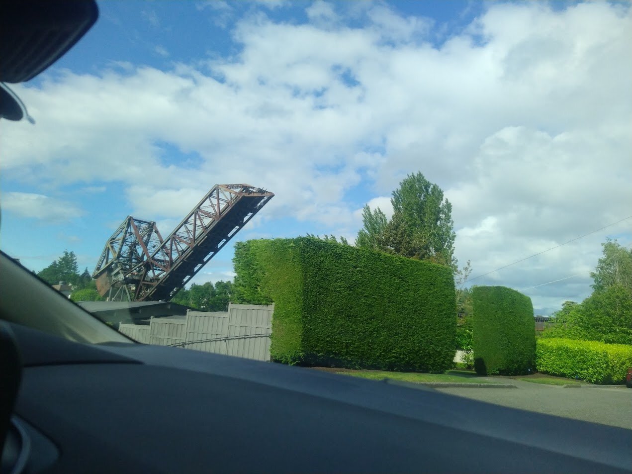 IMG_20250519_170947.jpg