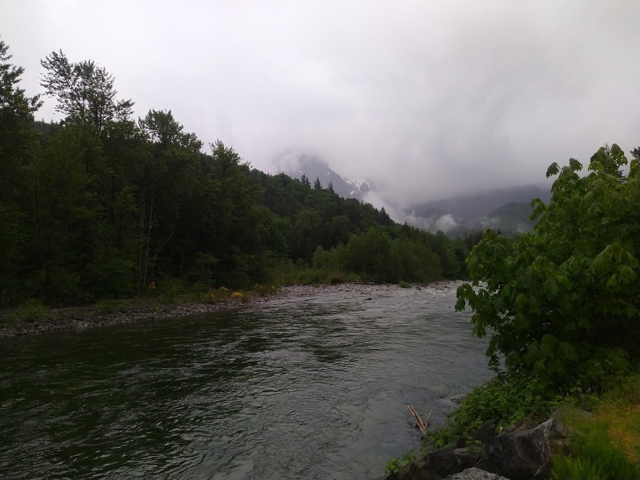 IMG_20250520_071450.jpg
