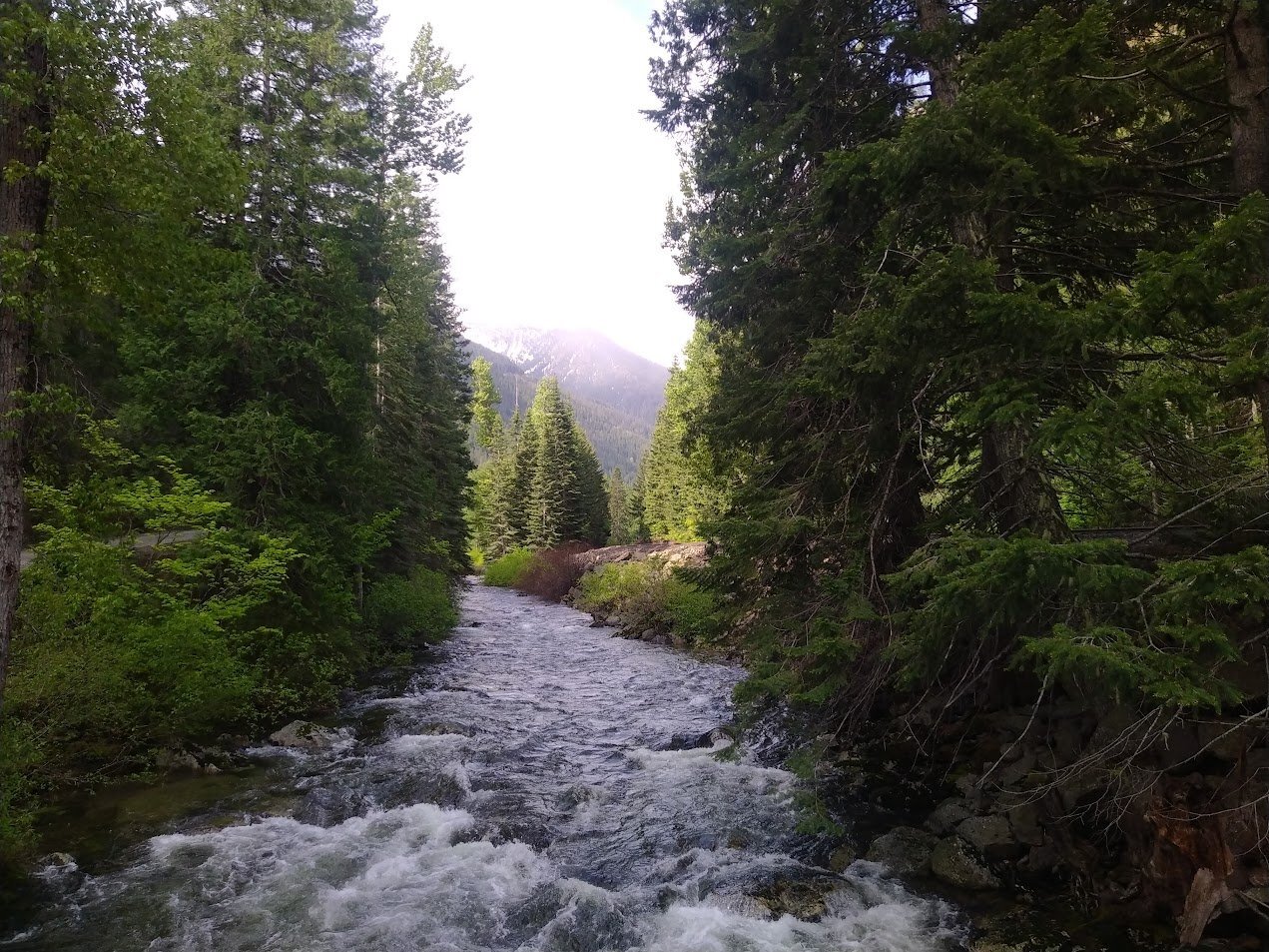 IMG_20250520_092749.jpg