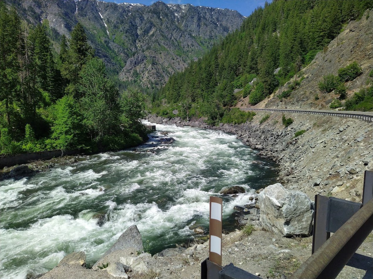 IMG_20250520_104408.jpg