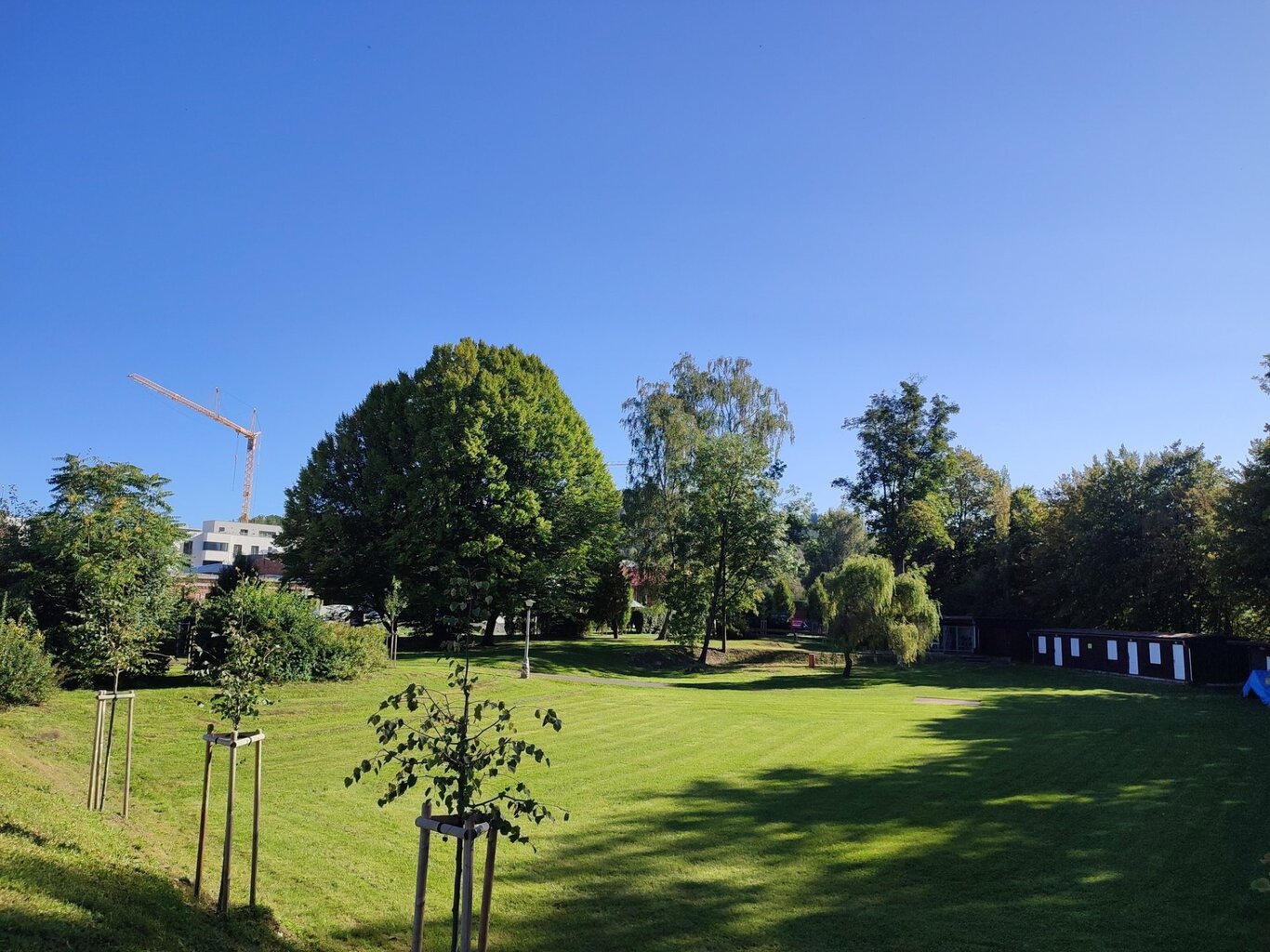 jaro-jasno.jpg