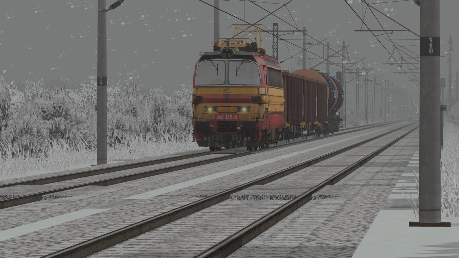 240125.jpg