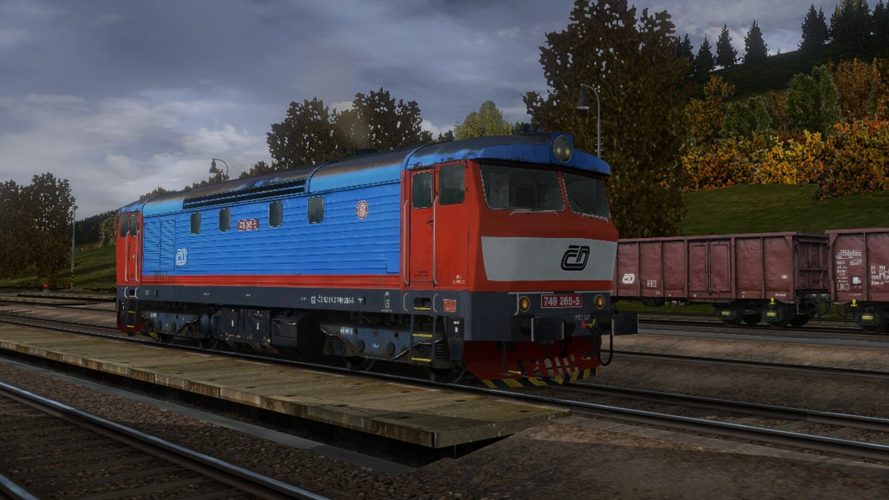Os13616_003.jpg