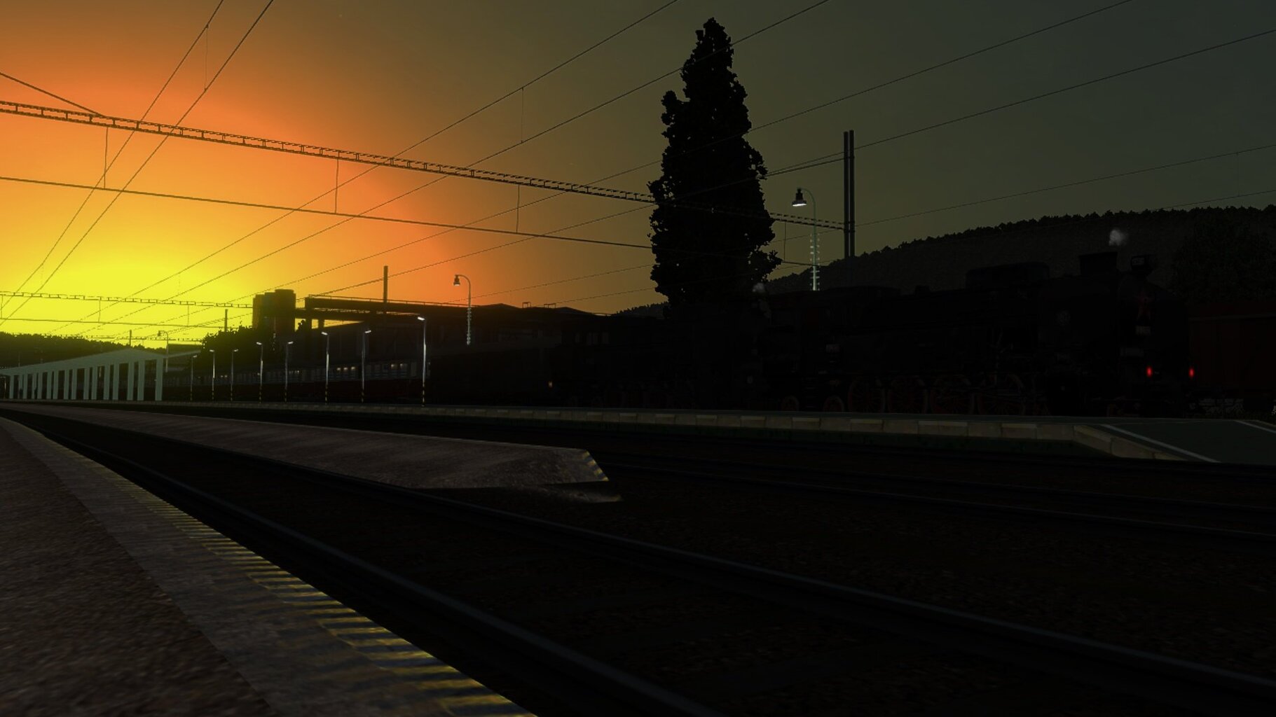 LS_078.jpg