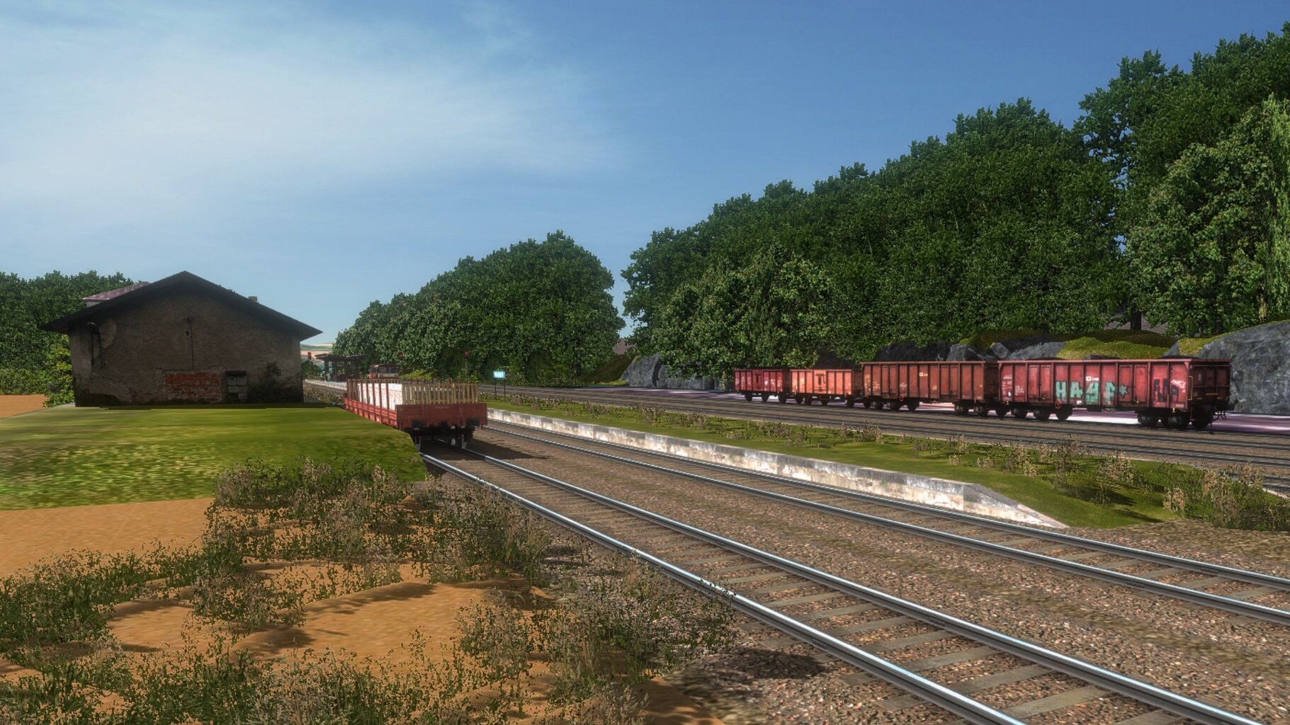 vm001.jpg