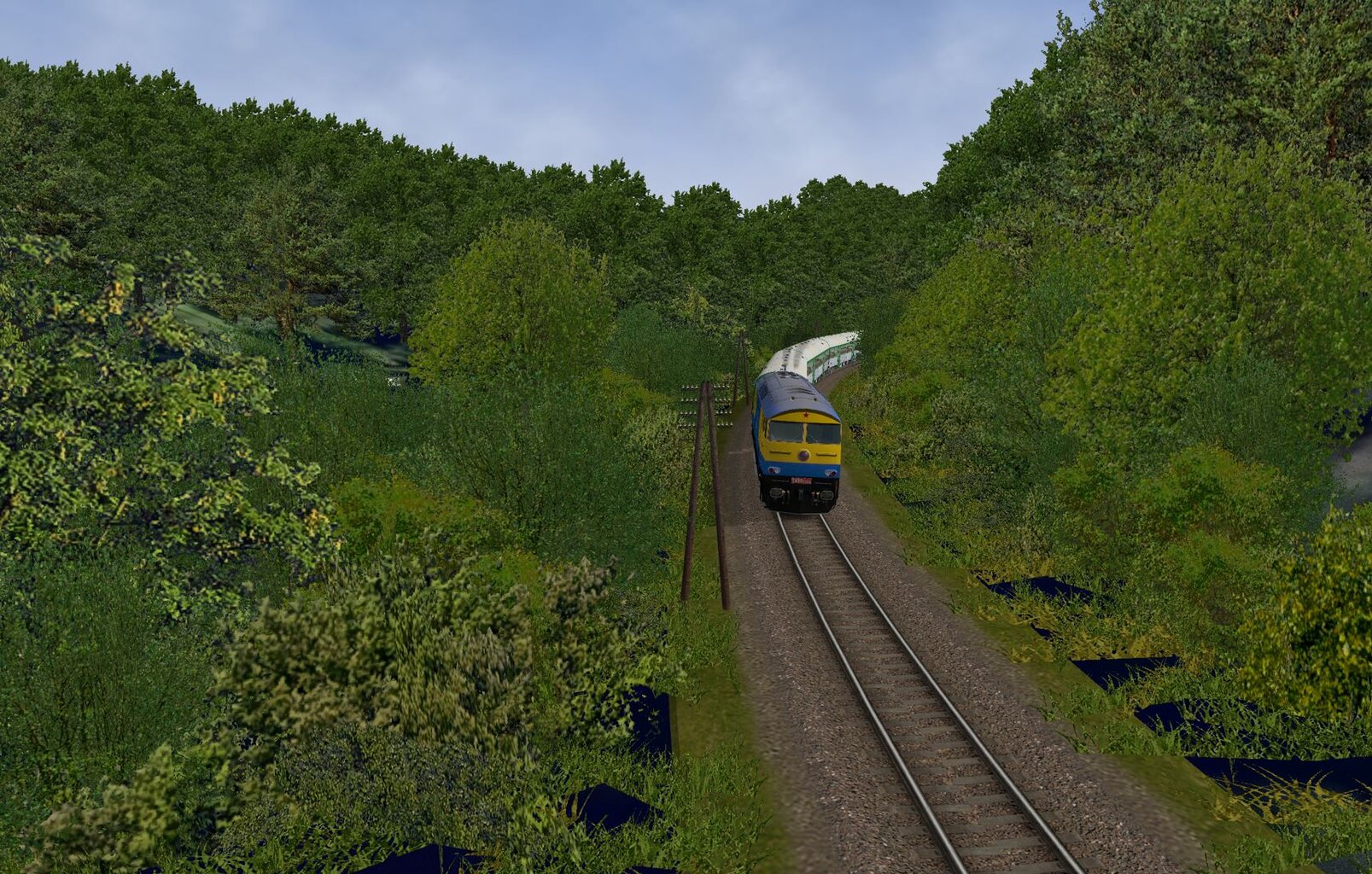 3005MorBran1.JPG