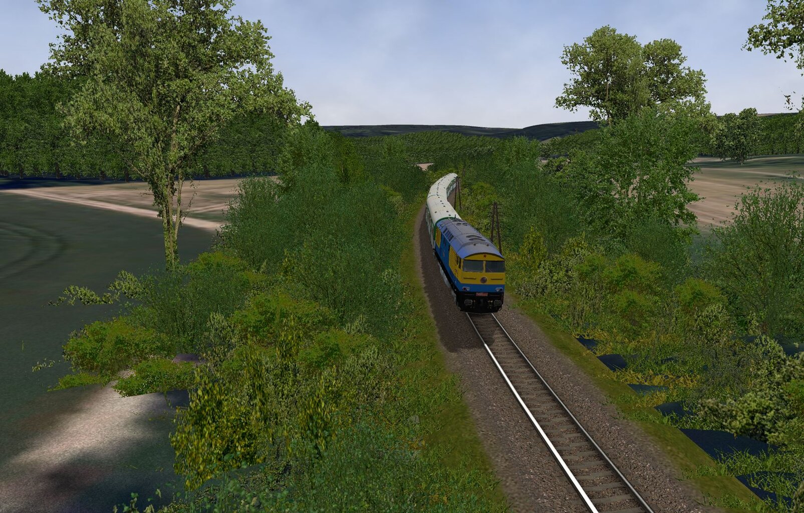 3005MorBran3.JPG