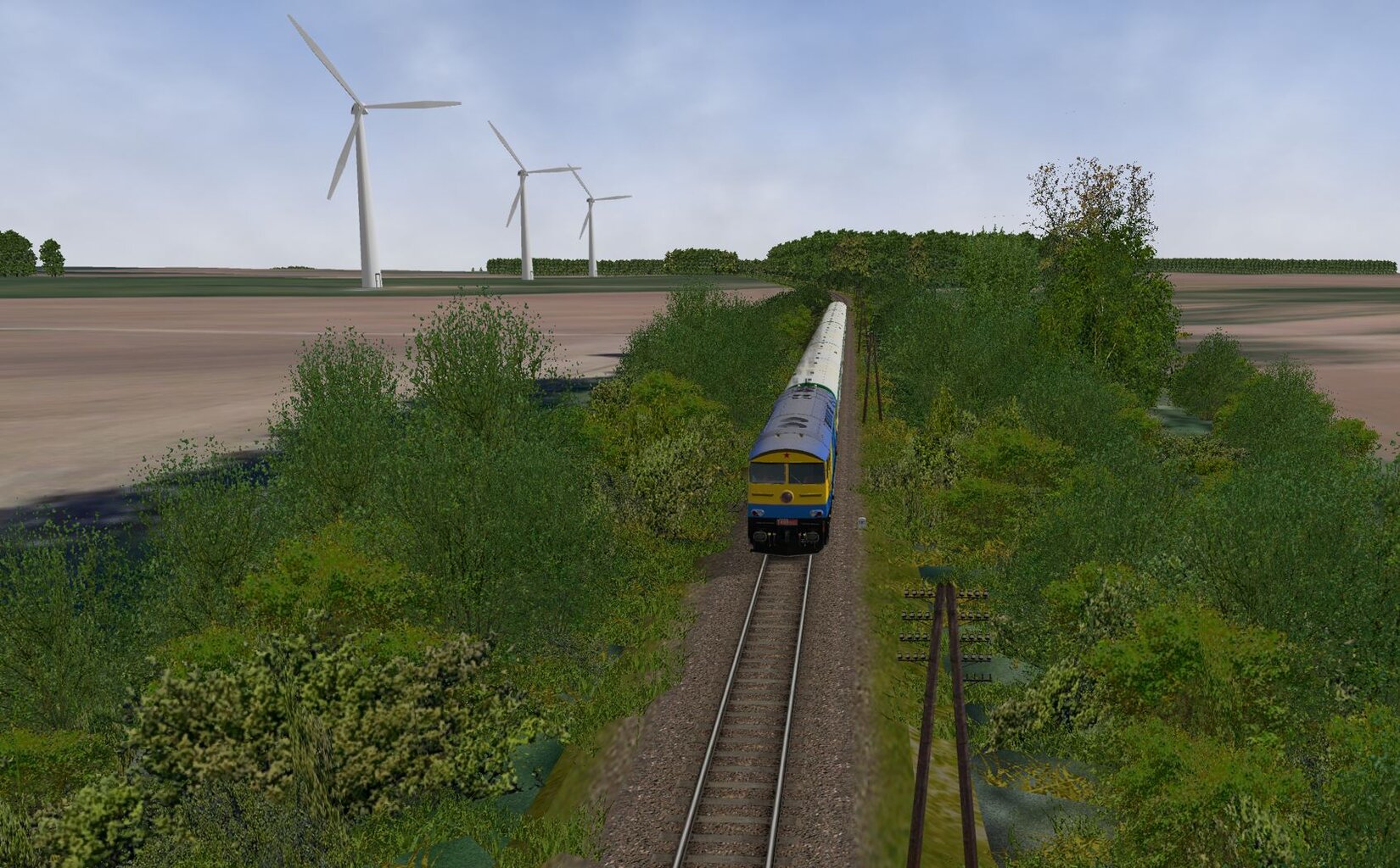 3005MorBran6.JPG