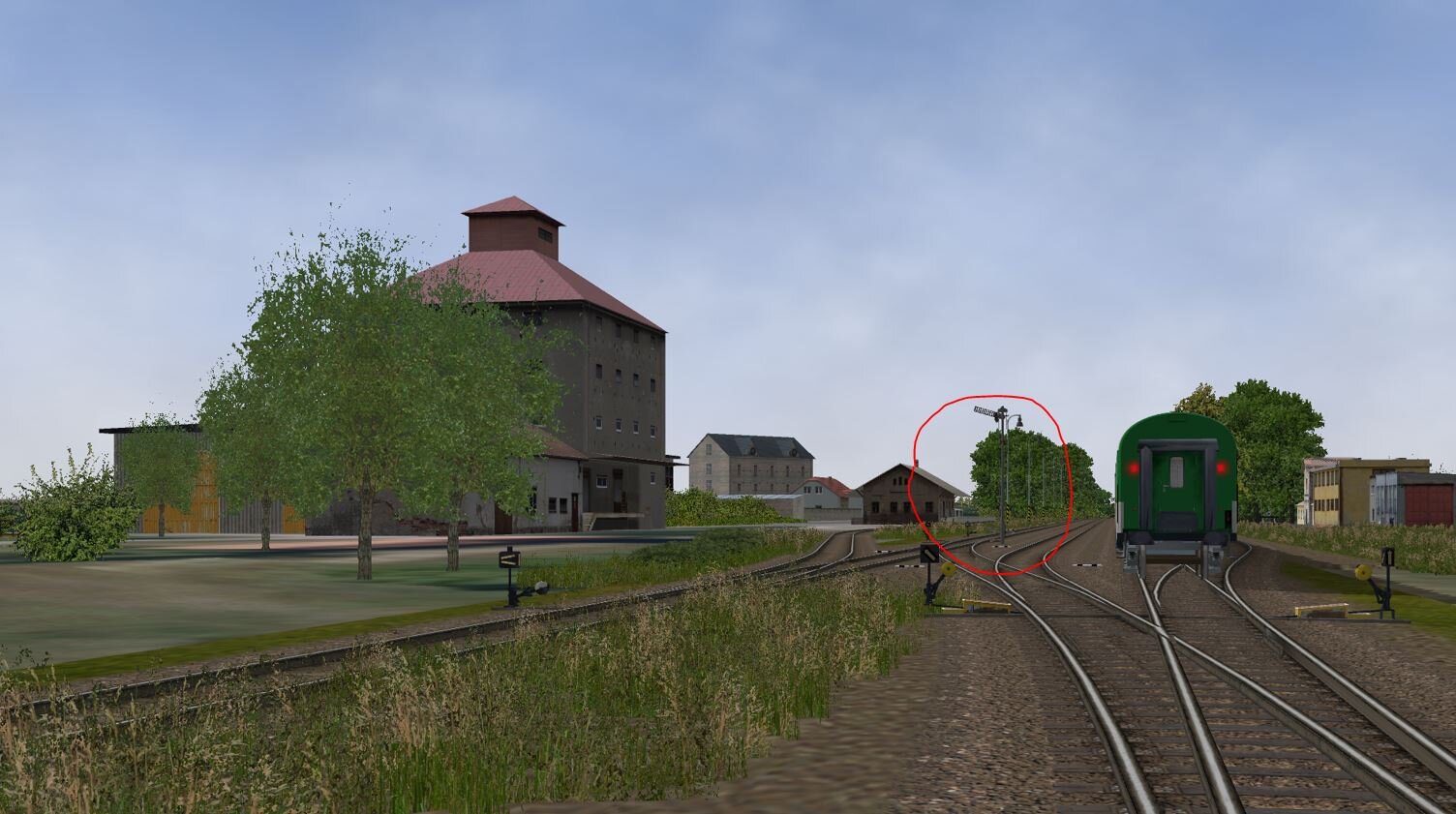 3005MorBran4.JPG
