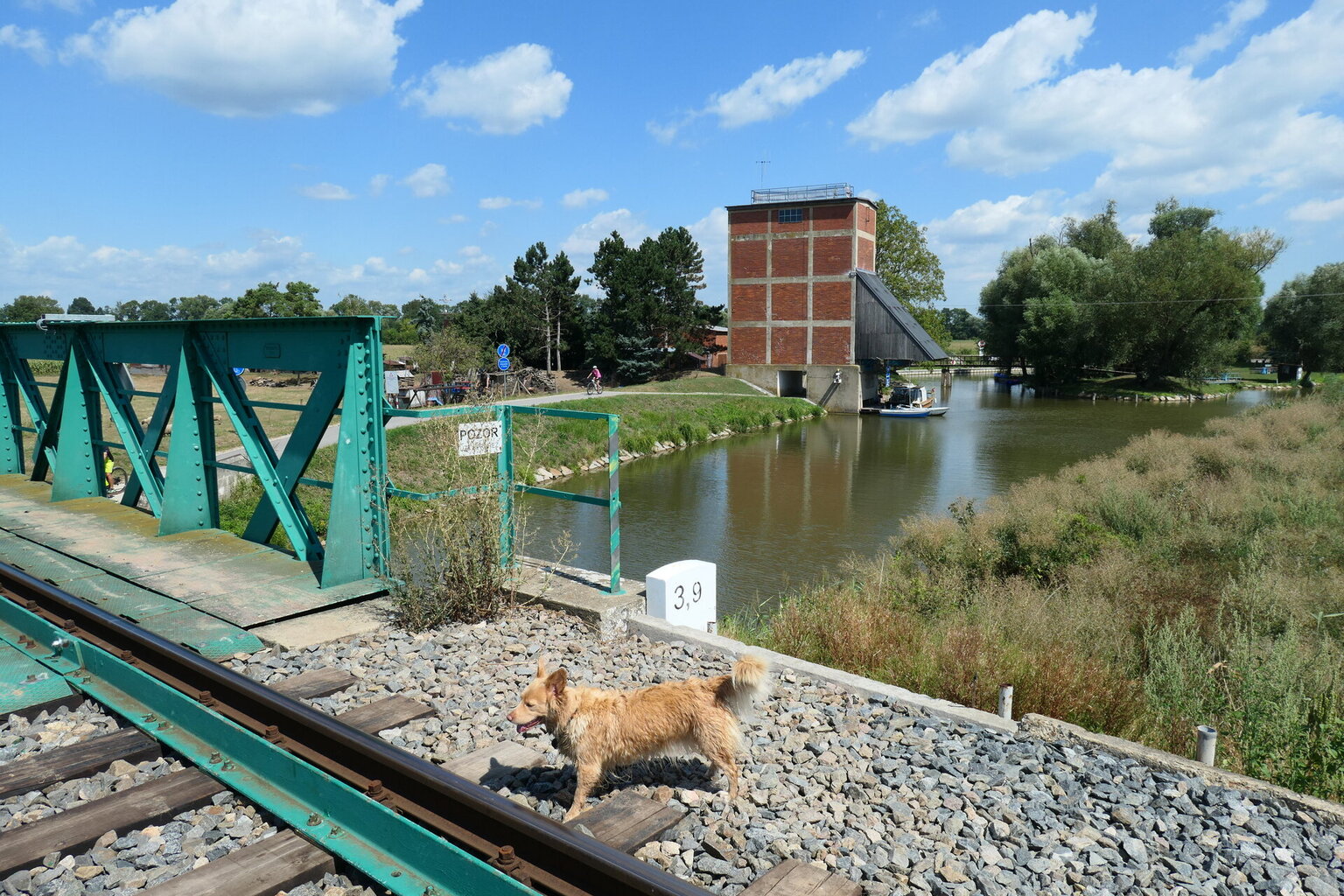 P1078498.JPG