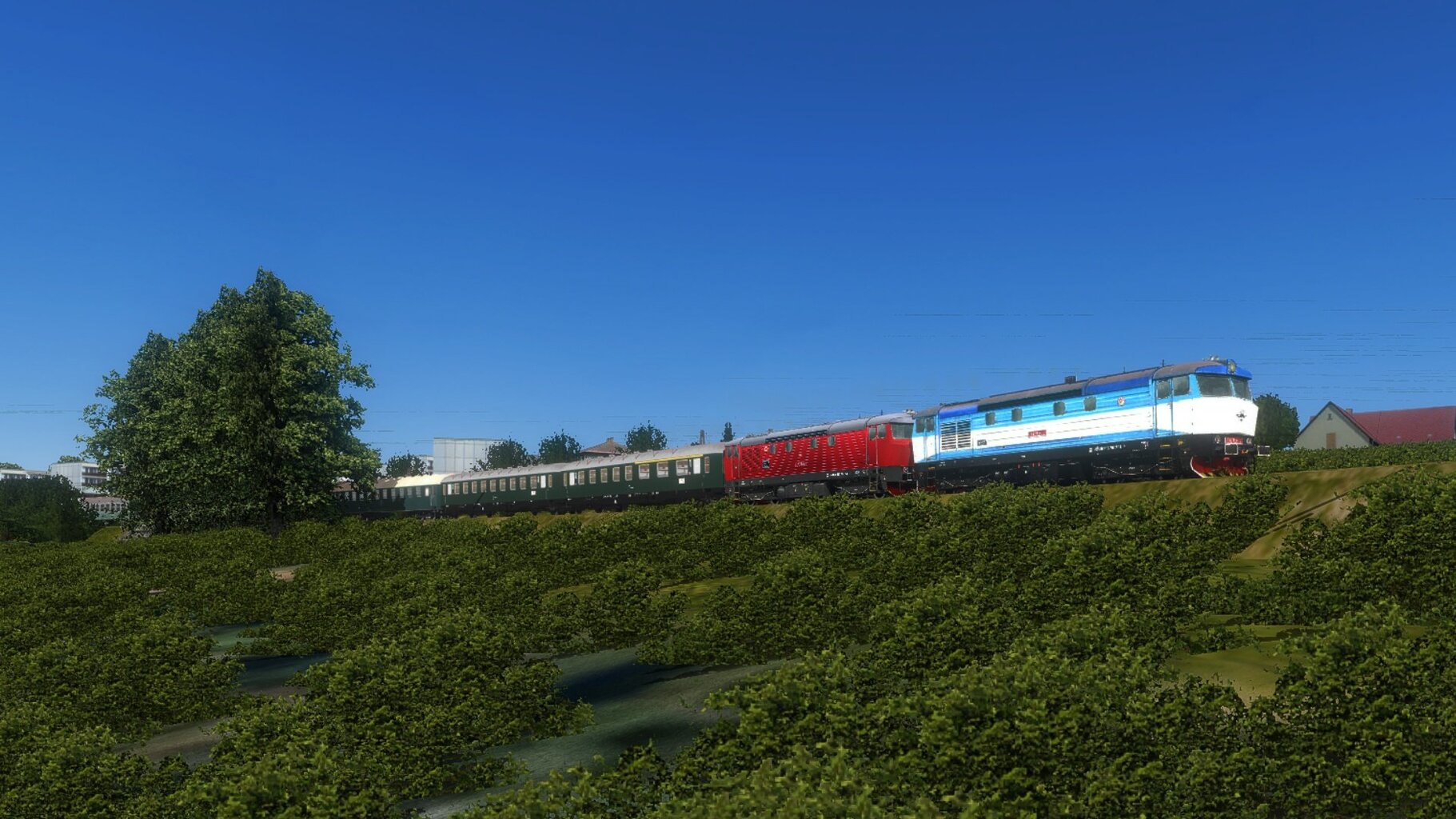 zn023.jpg