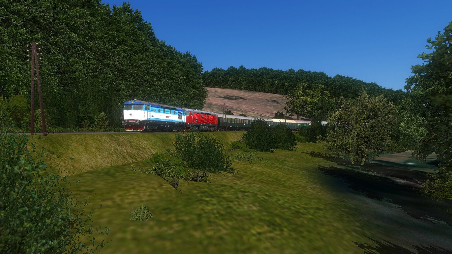 zn024.jpg