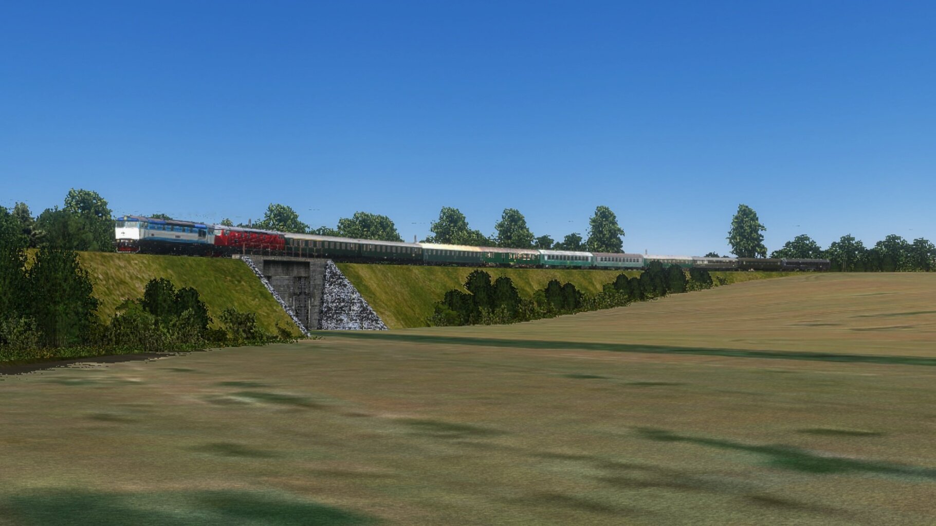 zn027.jpg