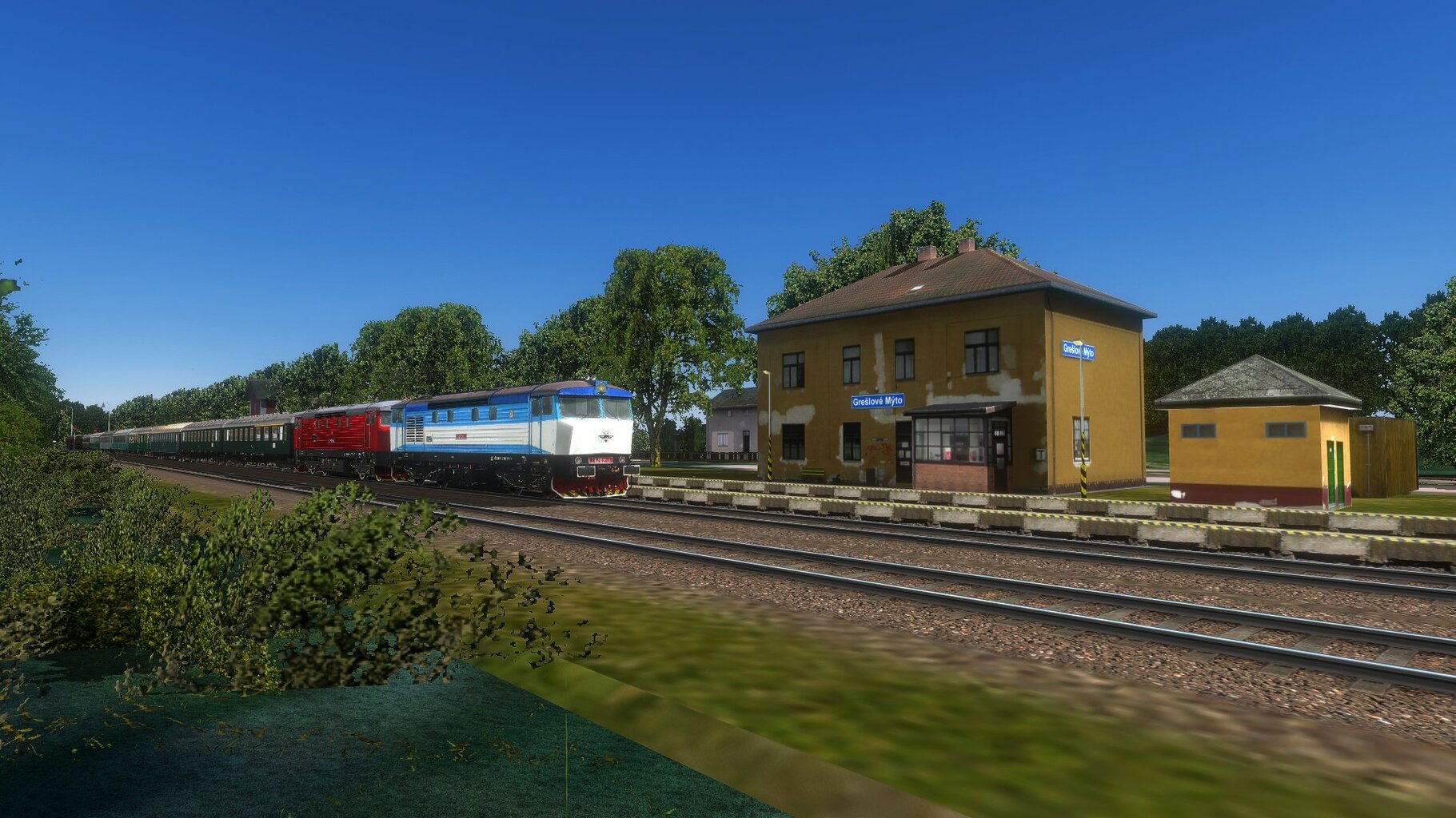zn028.jpg
