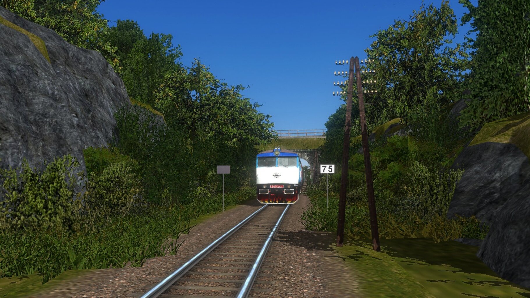 zn030.jpg