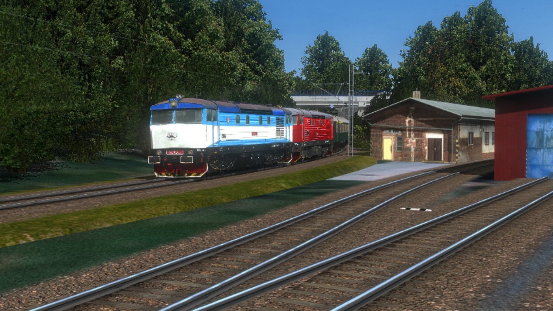 zn031.jpg