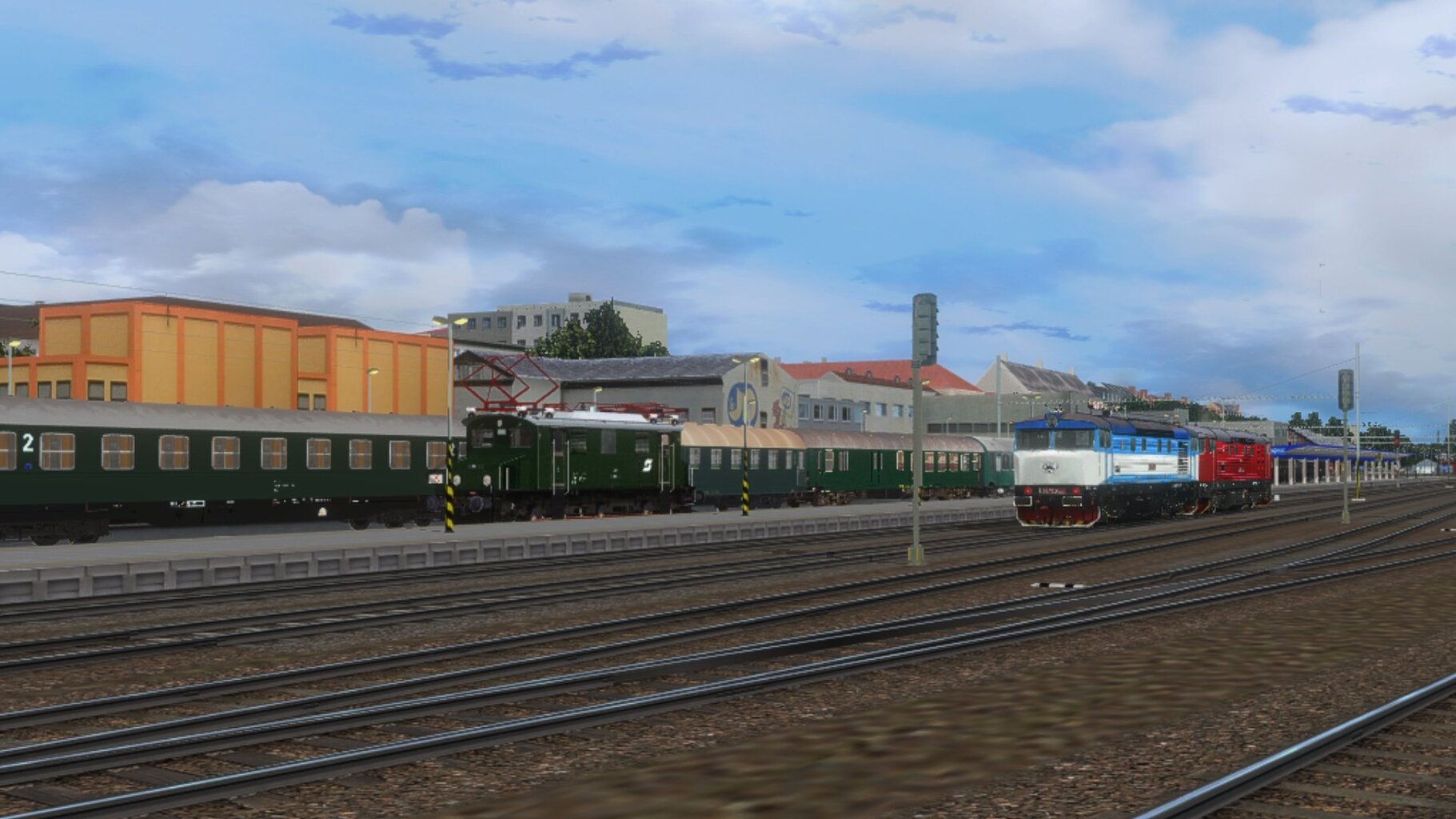 zn035.jpg
