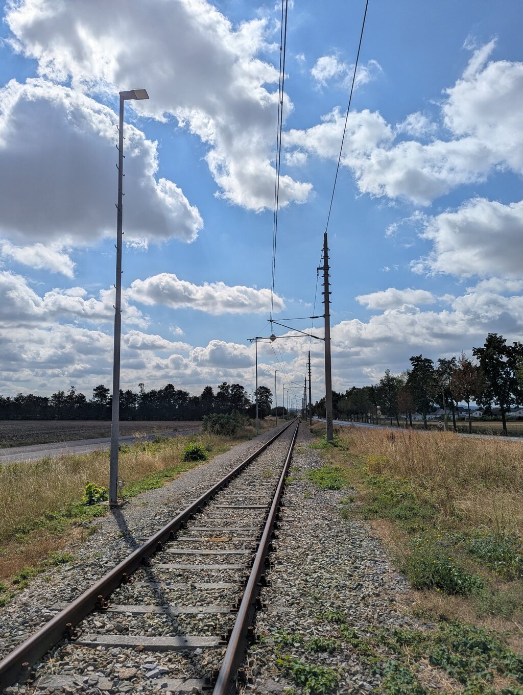 PXL_20260818_090544872.jpg