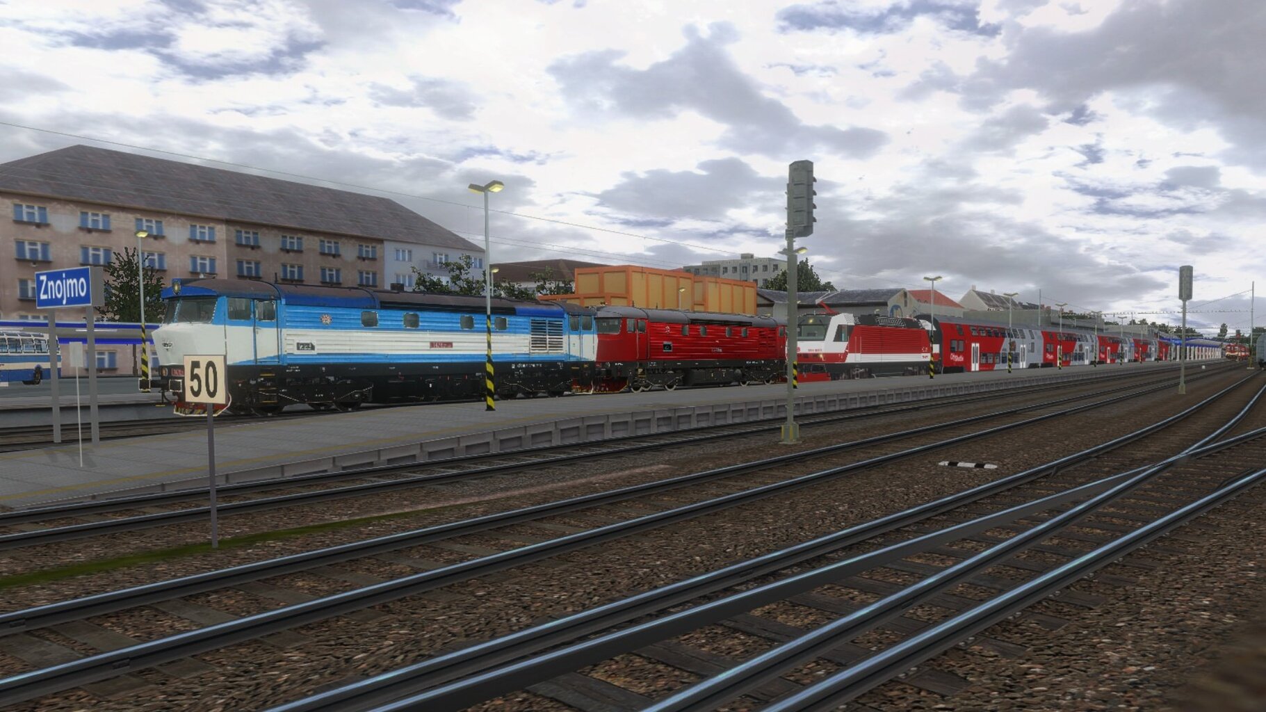 zn001.jpg