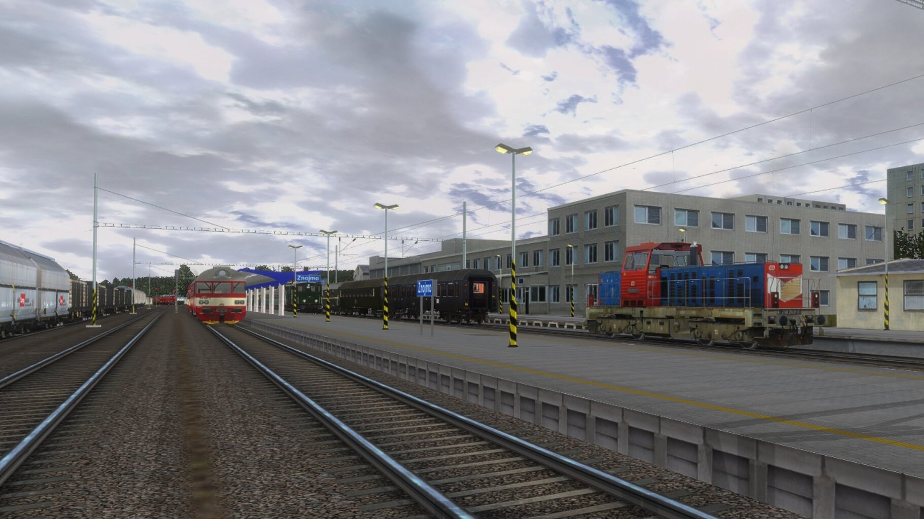 zn003.jpg