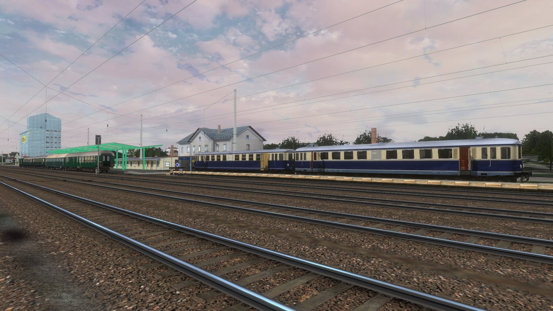 zn006.jpg