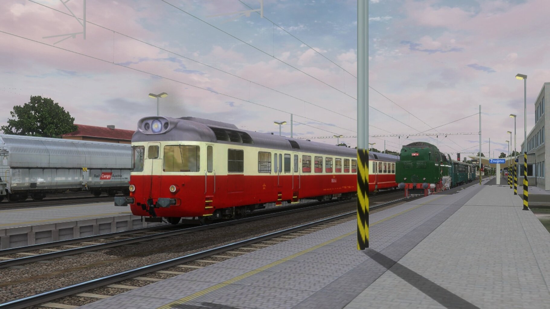 zn008.jpg