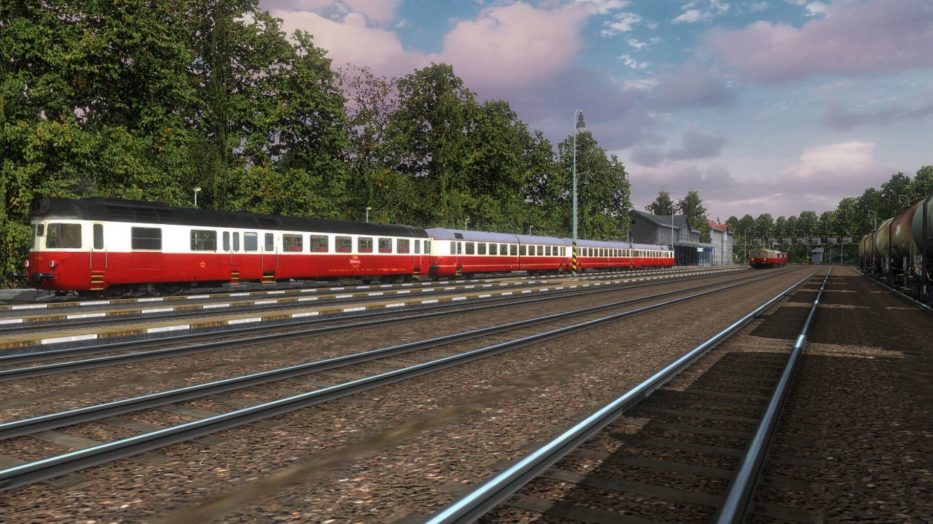 zn010.jpg