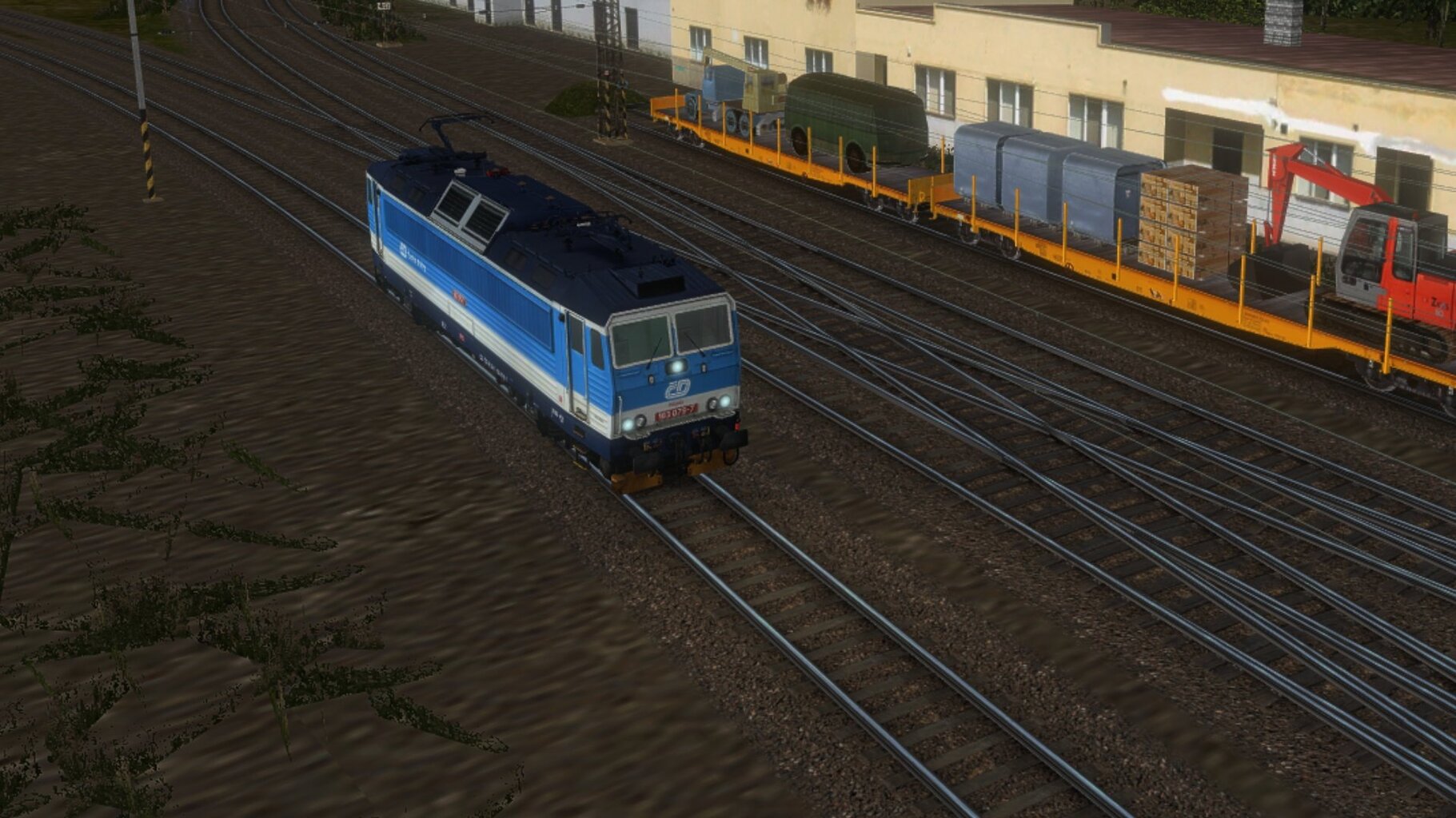 svetla.jpg