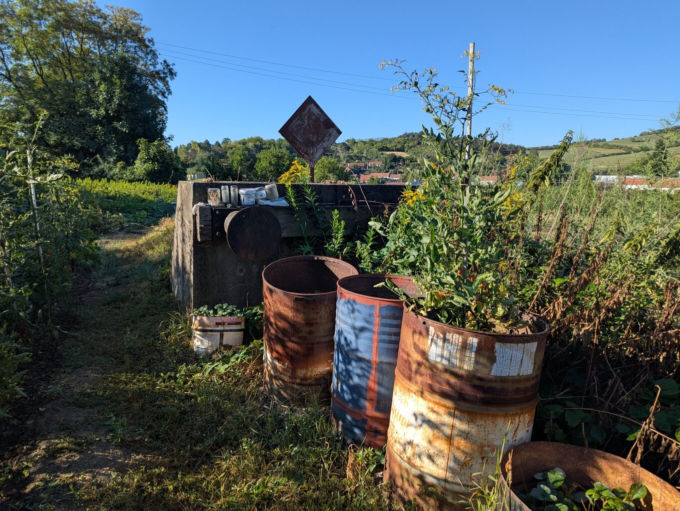 PXL_20260823_062436638.jpg