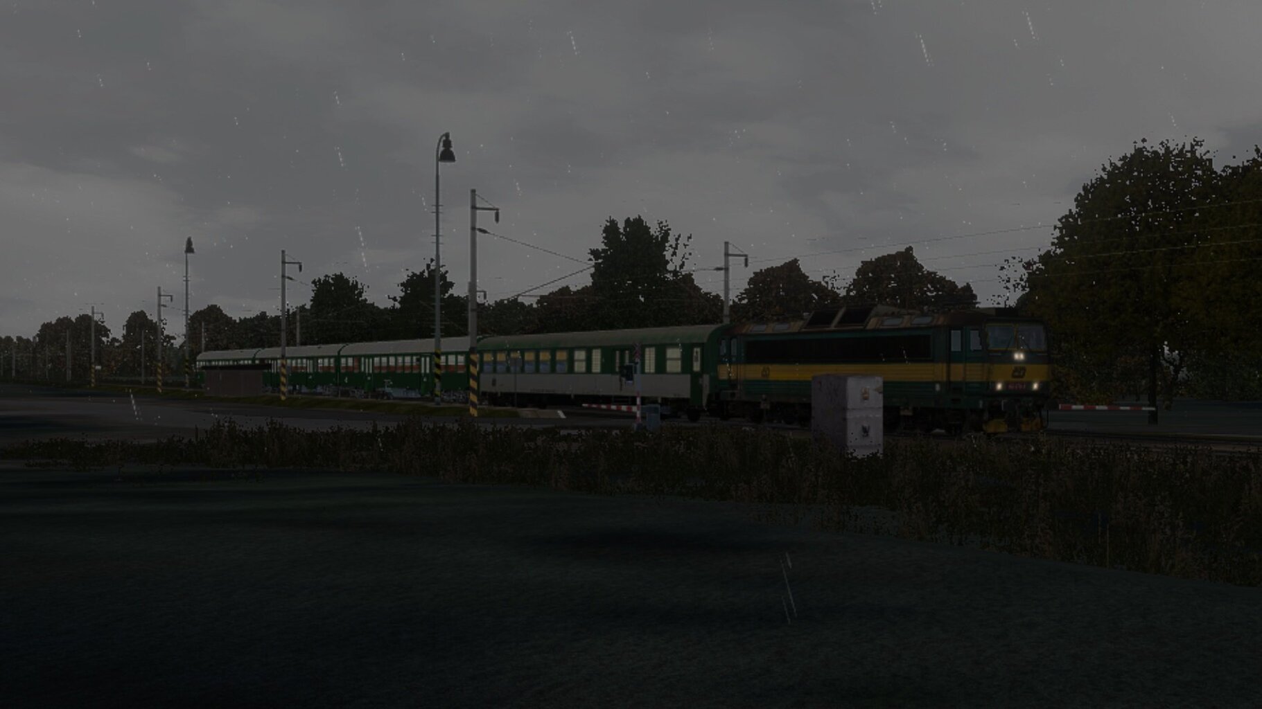 007.jpg