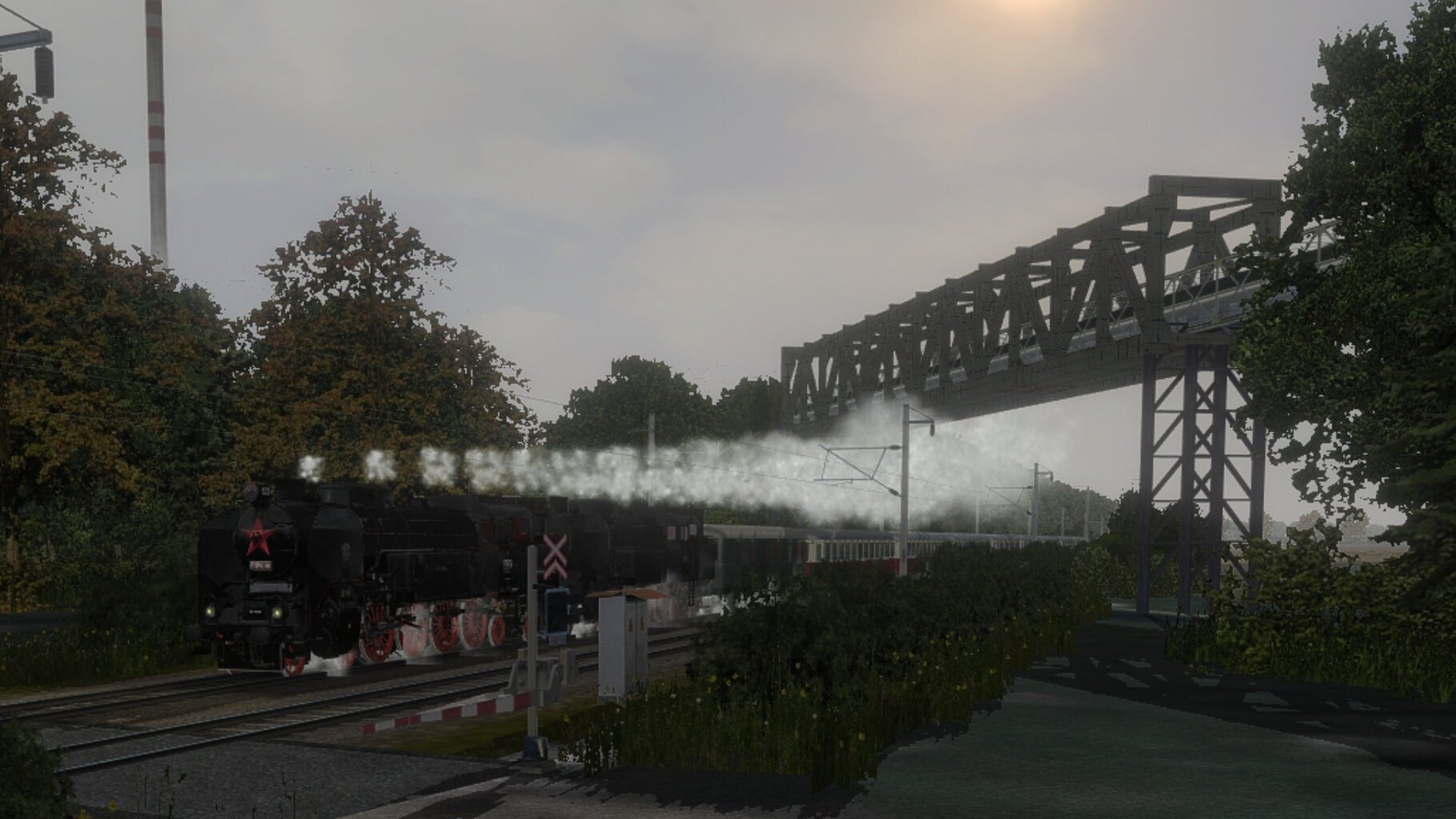 LS010.jpg