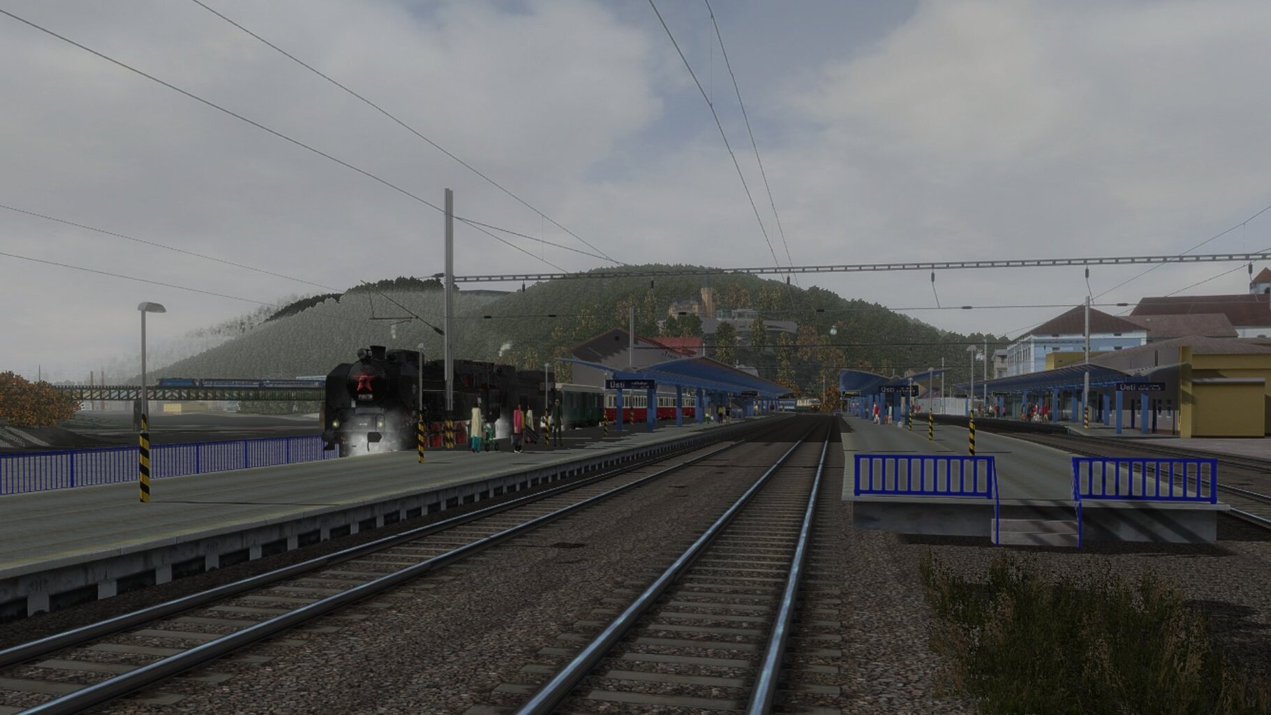 LS017.jpg