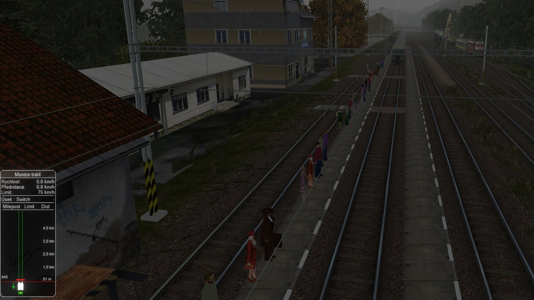 panaci2.jpg