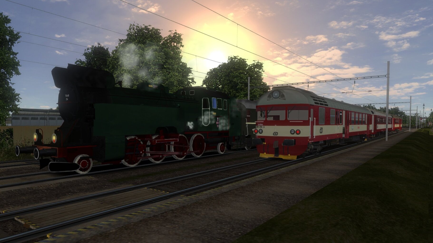 zn001.jpg