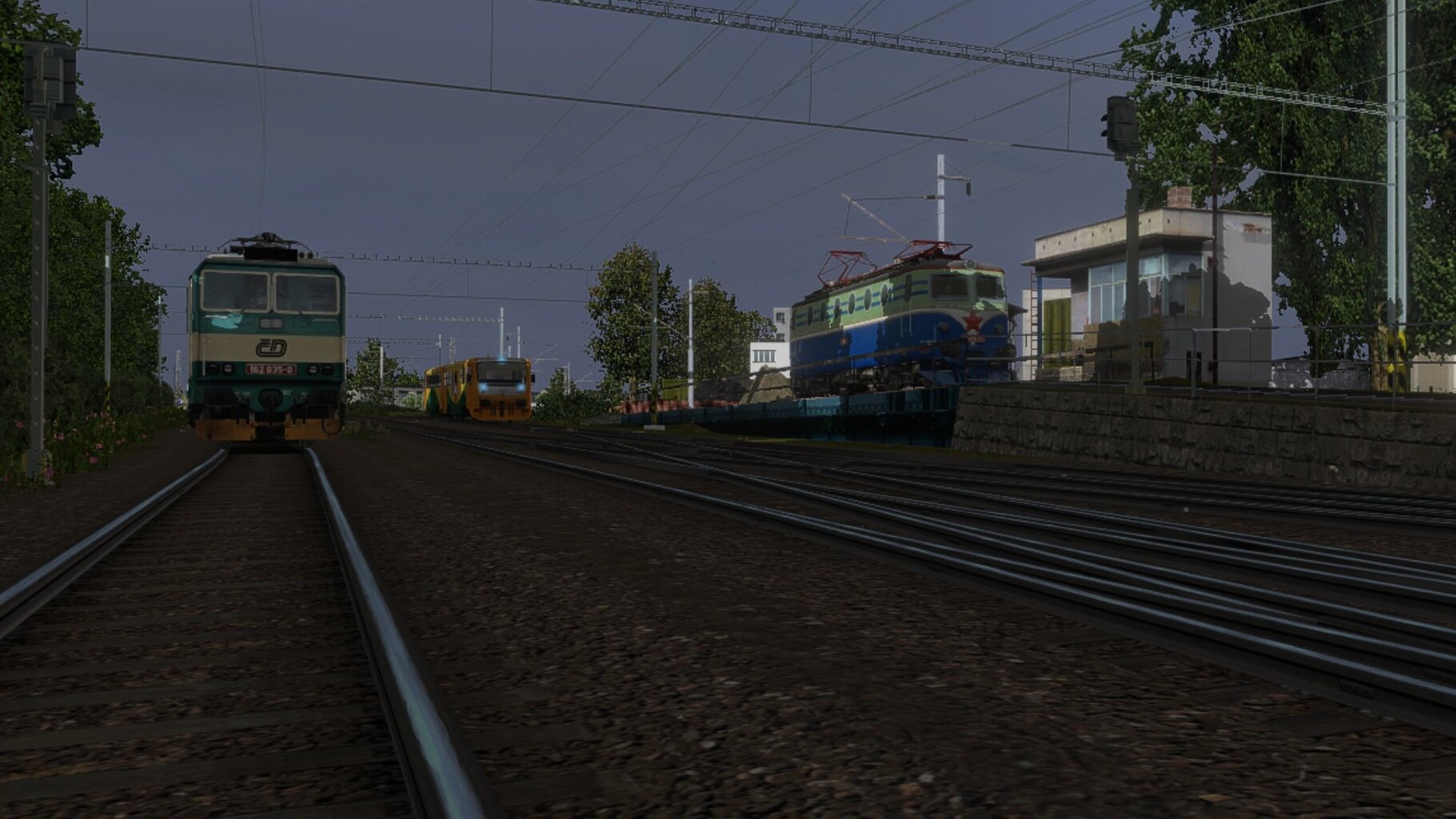 zn006.jpg