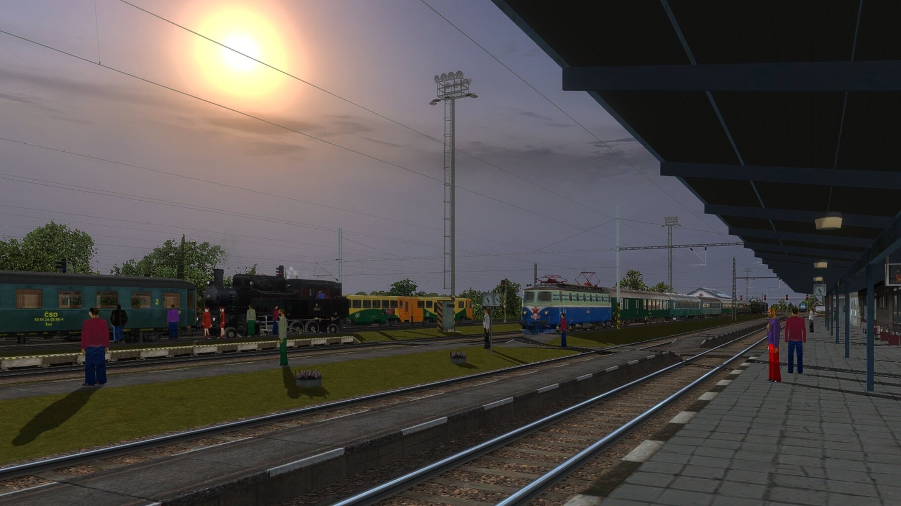 zn009.jpg