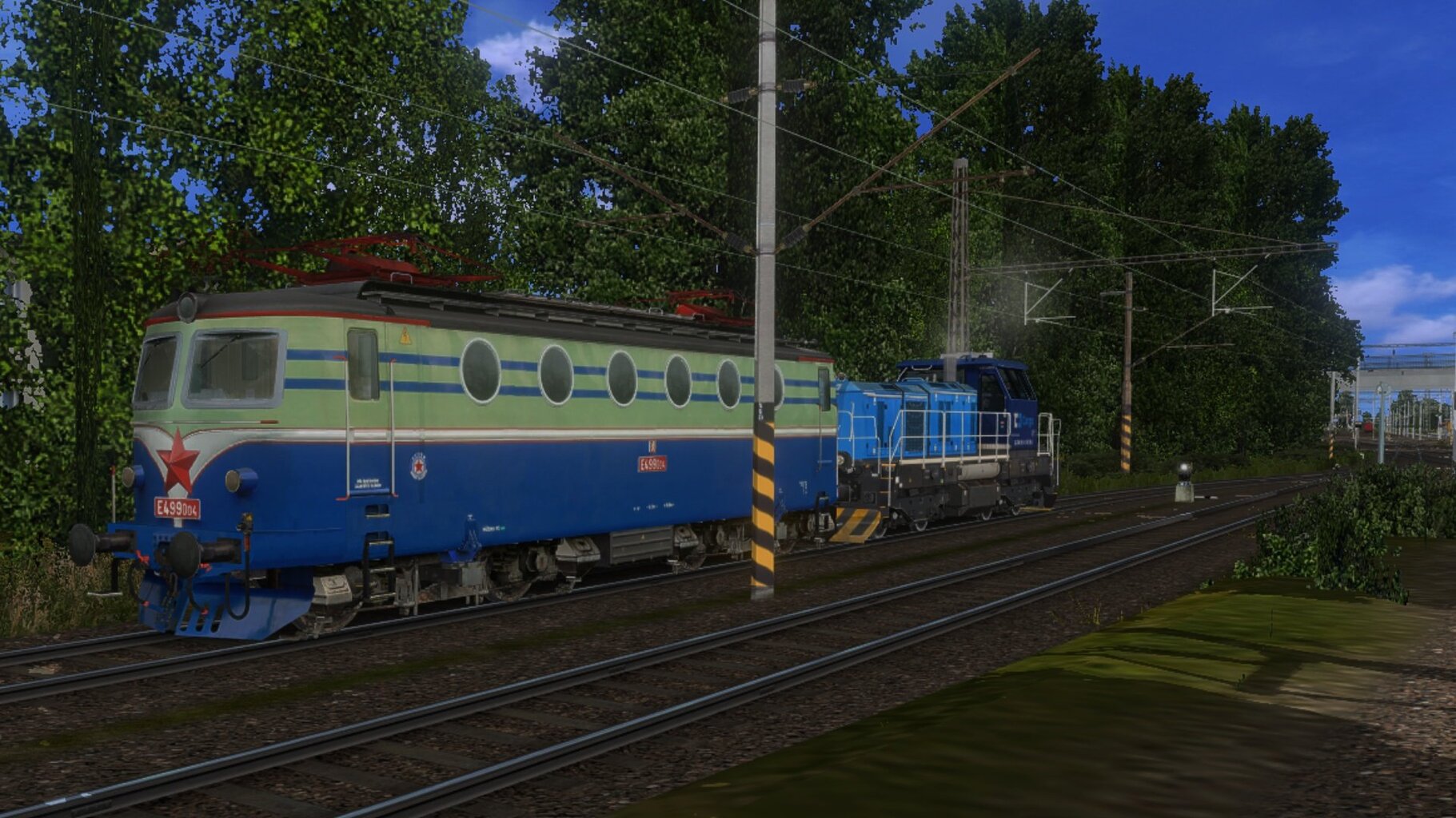 zn012.jpg