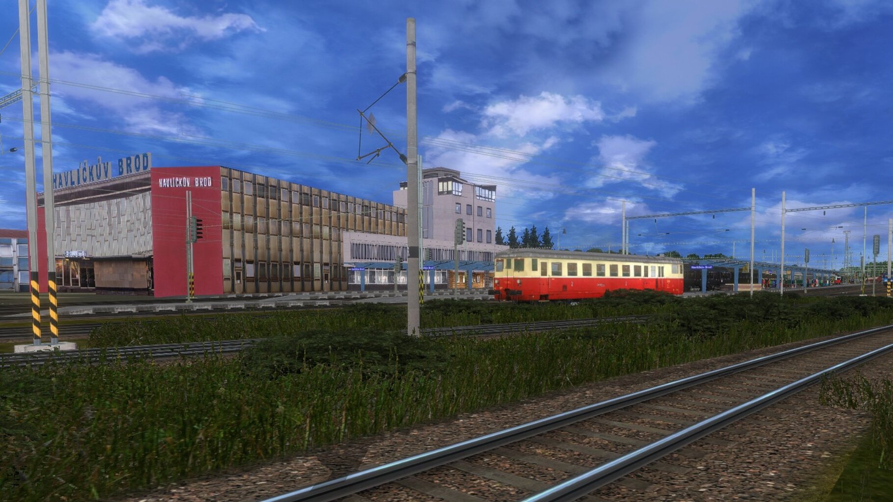 zn017.jpg