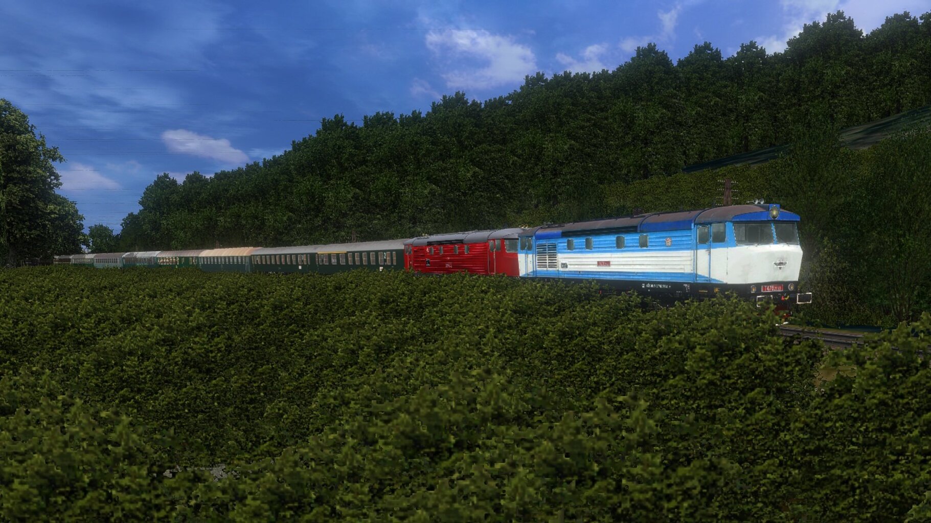 zn020.jpg