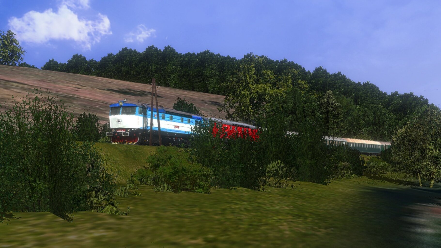 zn022.jpg
