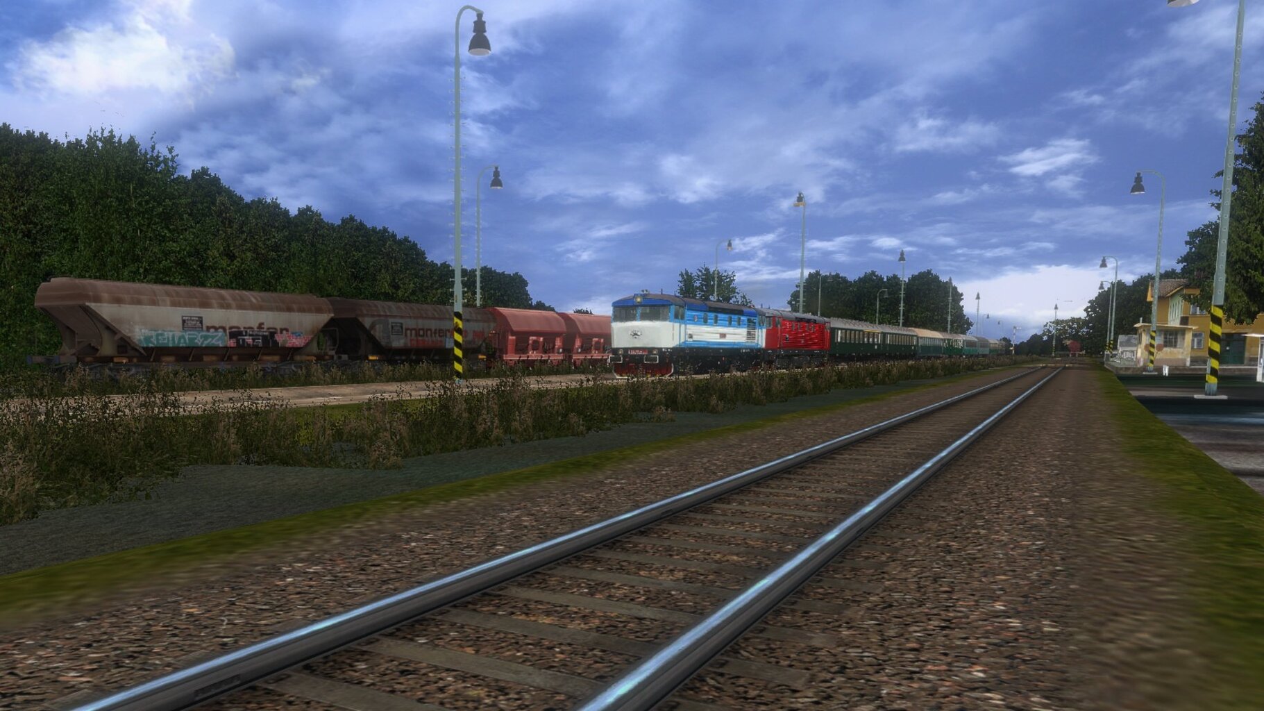 zn026.jpg