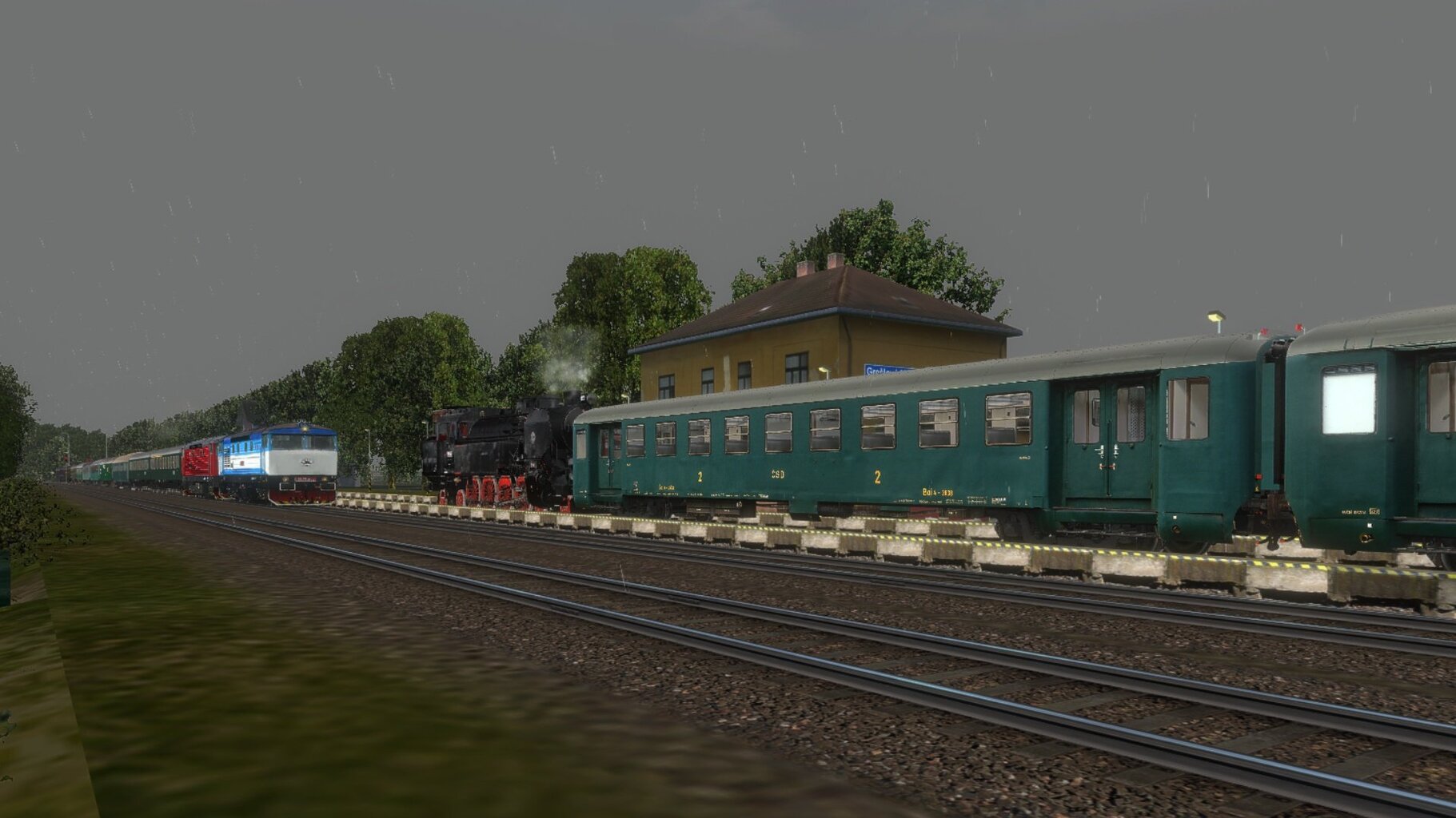zn029.jpg