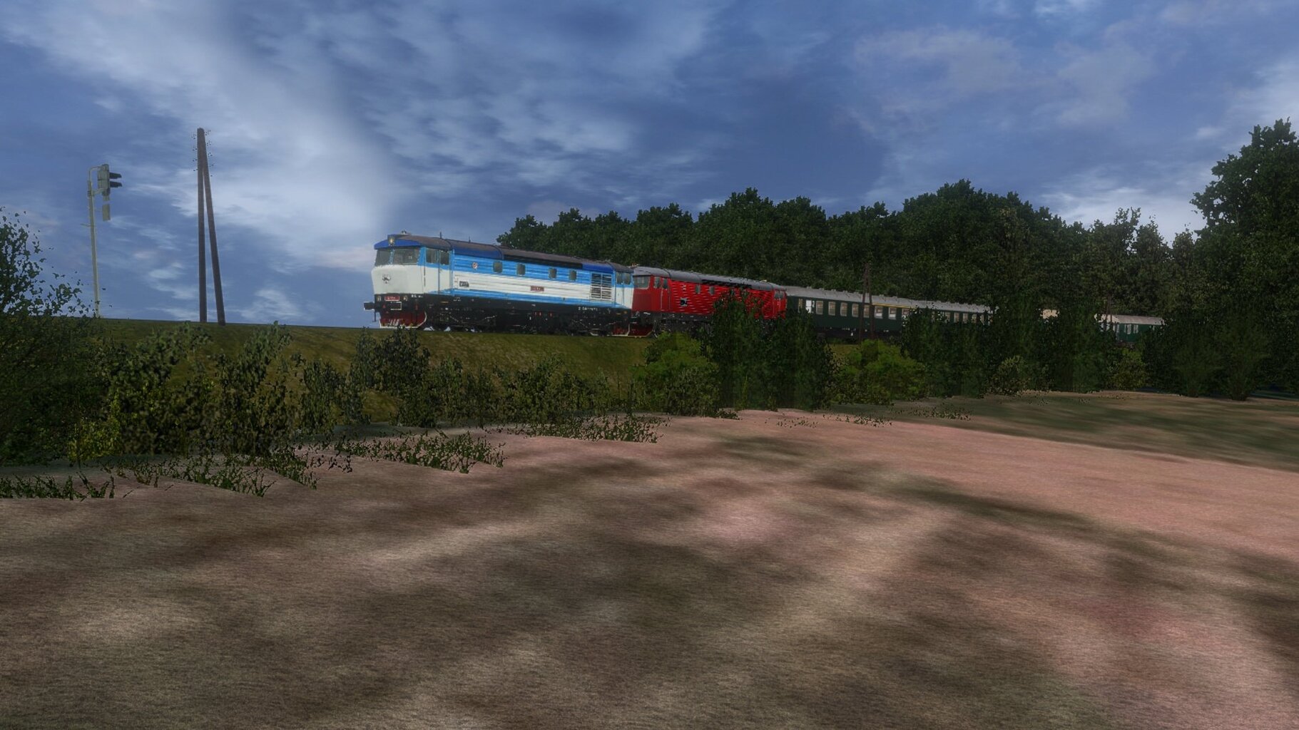 zn030.jpg